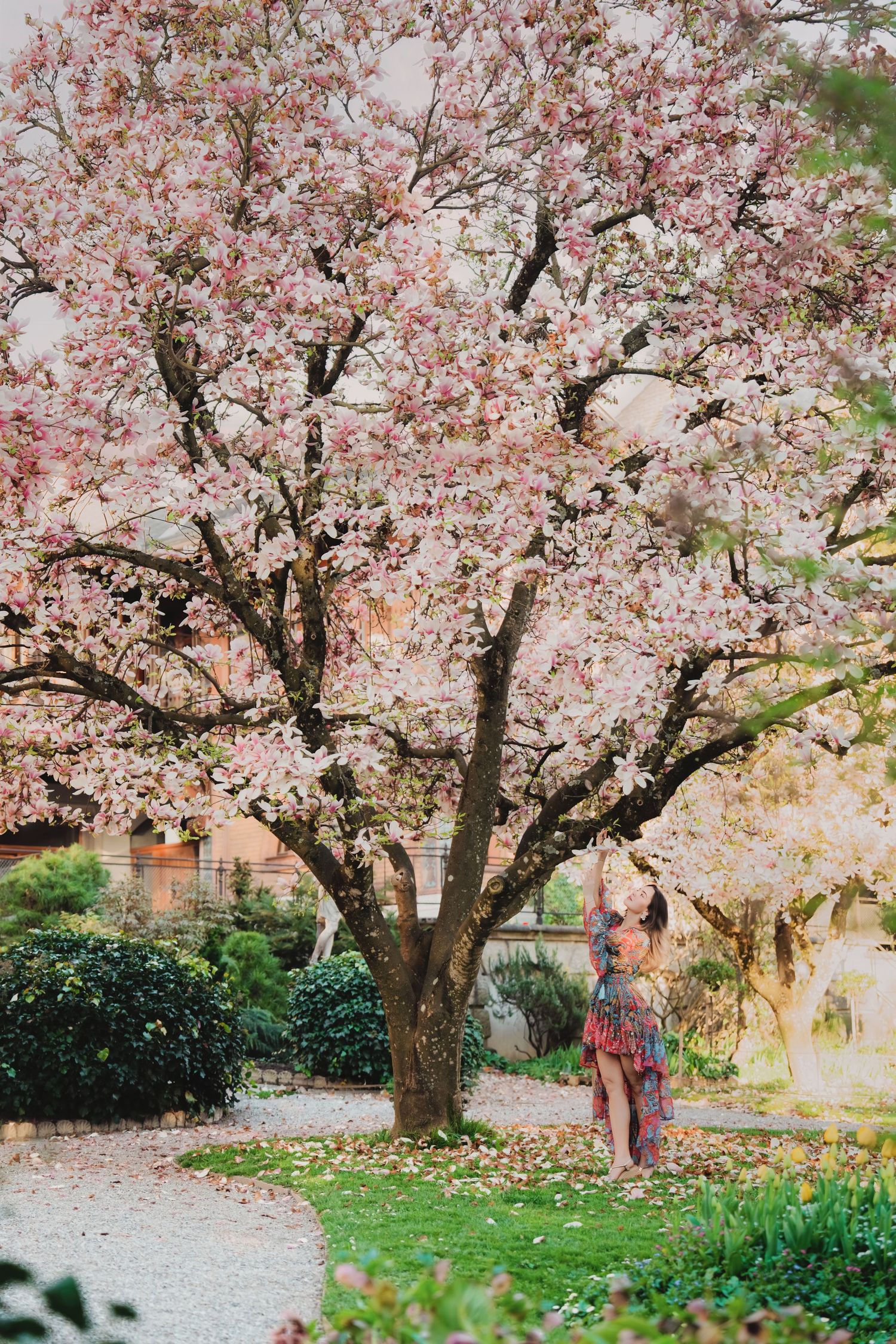 Woman in colorful dress standing beneath blooming pink cherry blossom tree in serene garden.