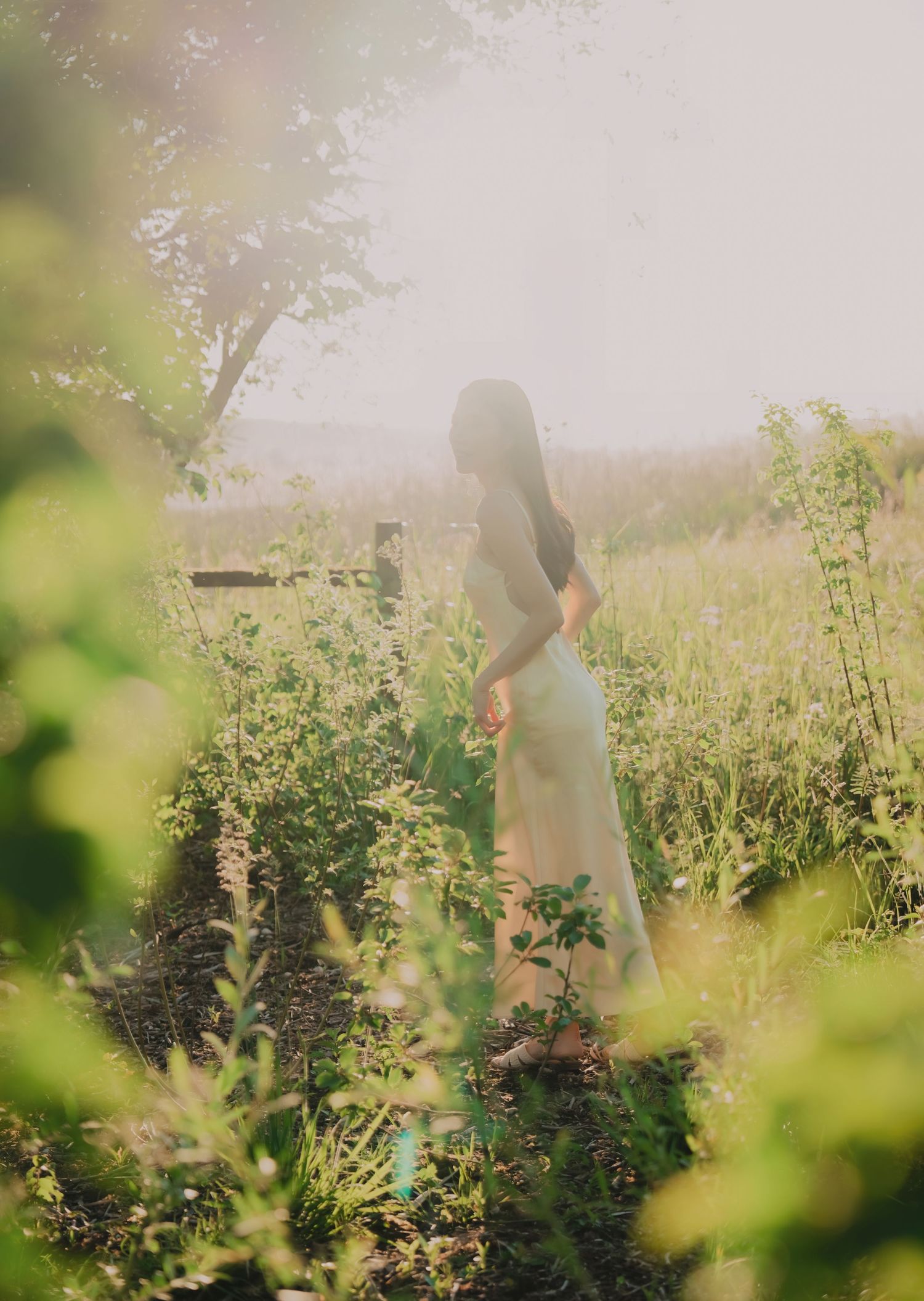 Woman in white dress standing among lush green plants in a sunlit garden with soft bokeh lighting.
