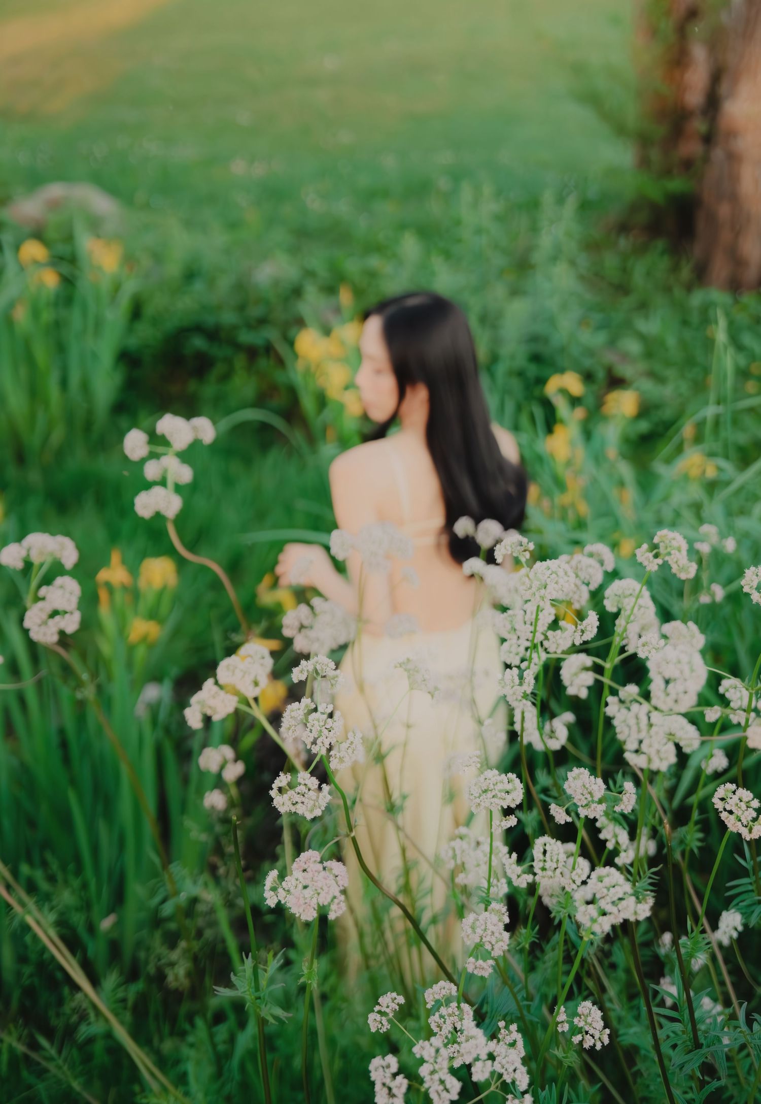 Young woman in off-shoulder cream dress stands surrounded by blooming white wildflowers in a vibrant green meadow.