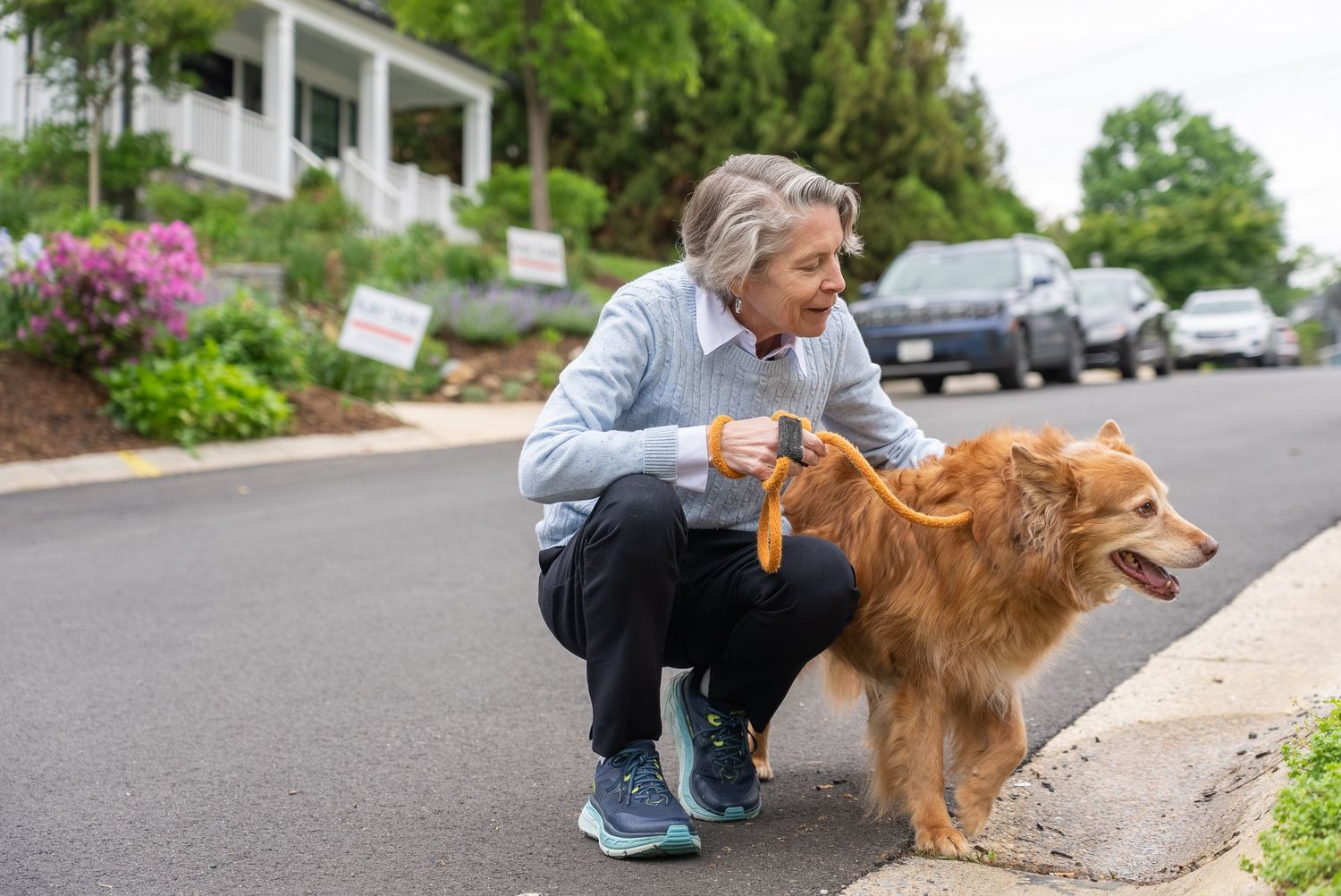 Woman crouching to pet a golden retriever dog on a suburban street lined with colorful flowers.