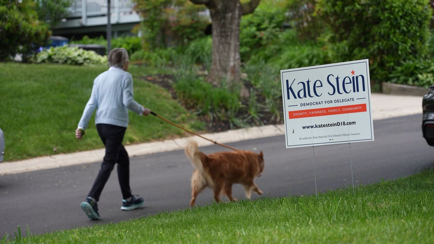 Person walking golden retriever past Kate Stein campaign yard sign on suburban lawn.
