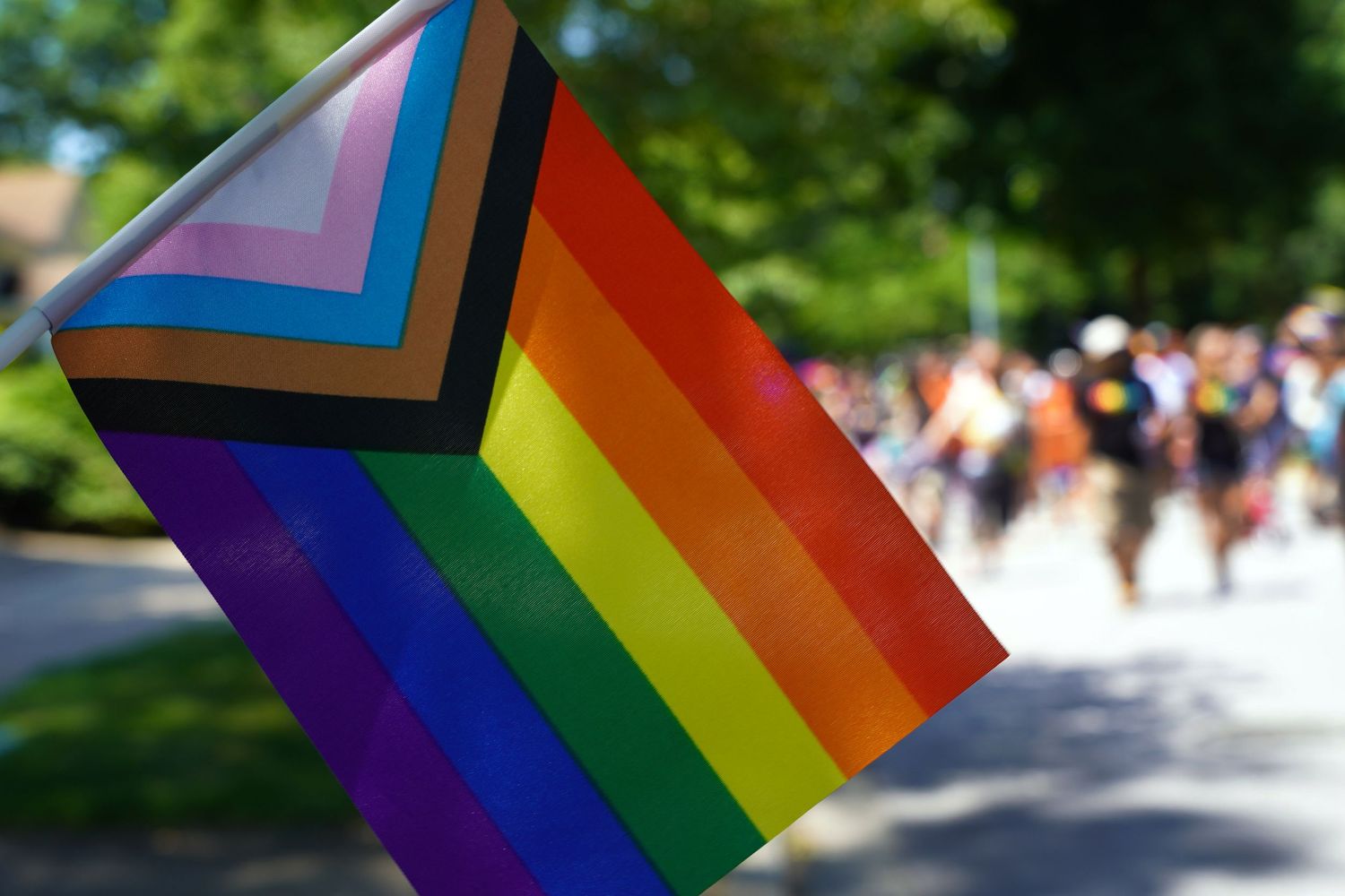 Row of progressive pride and rainbow flags displayed against green foliage background.