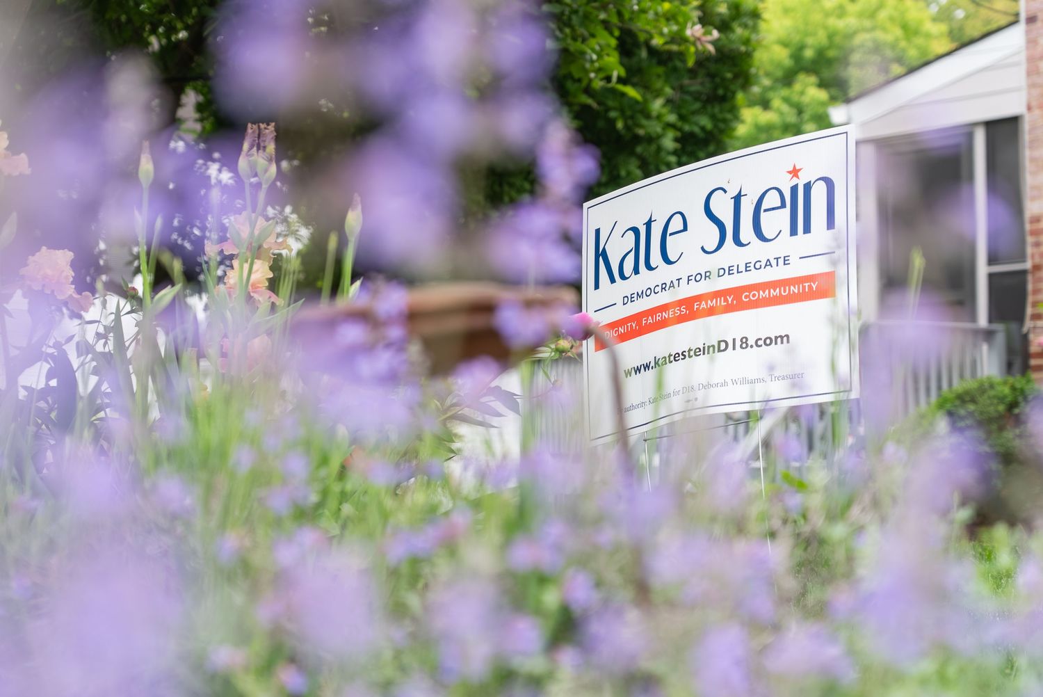 Kate Stein delegate campaign sign displayed among blooming purple lavender flowers in a lush garden setting.