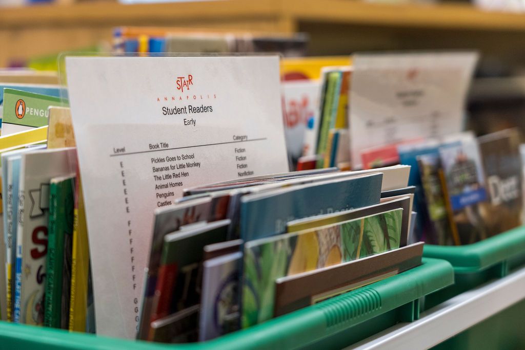Row of organized books displayed on green library shelves.