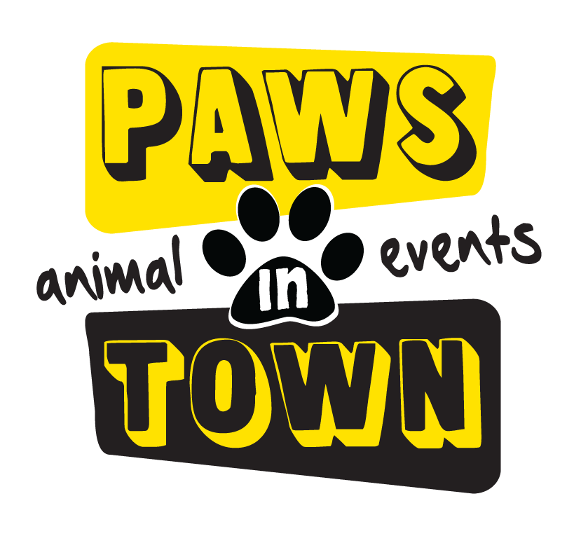 Bold text logo for Paws in Town featuring yellow and black colors with paw print.