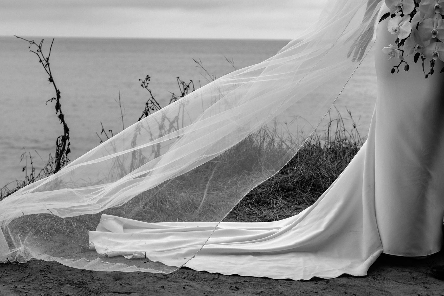 A long white wedding veil billows dramatically against a coastal landscape.