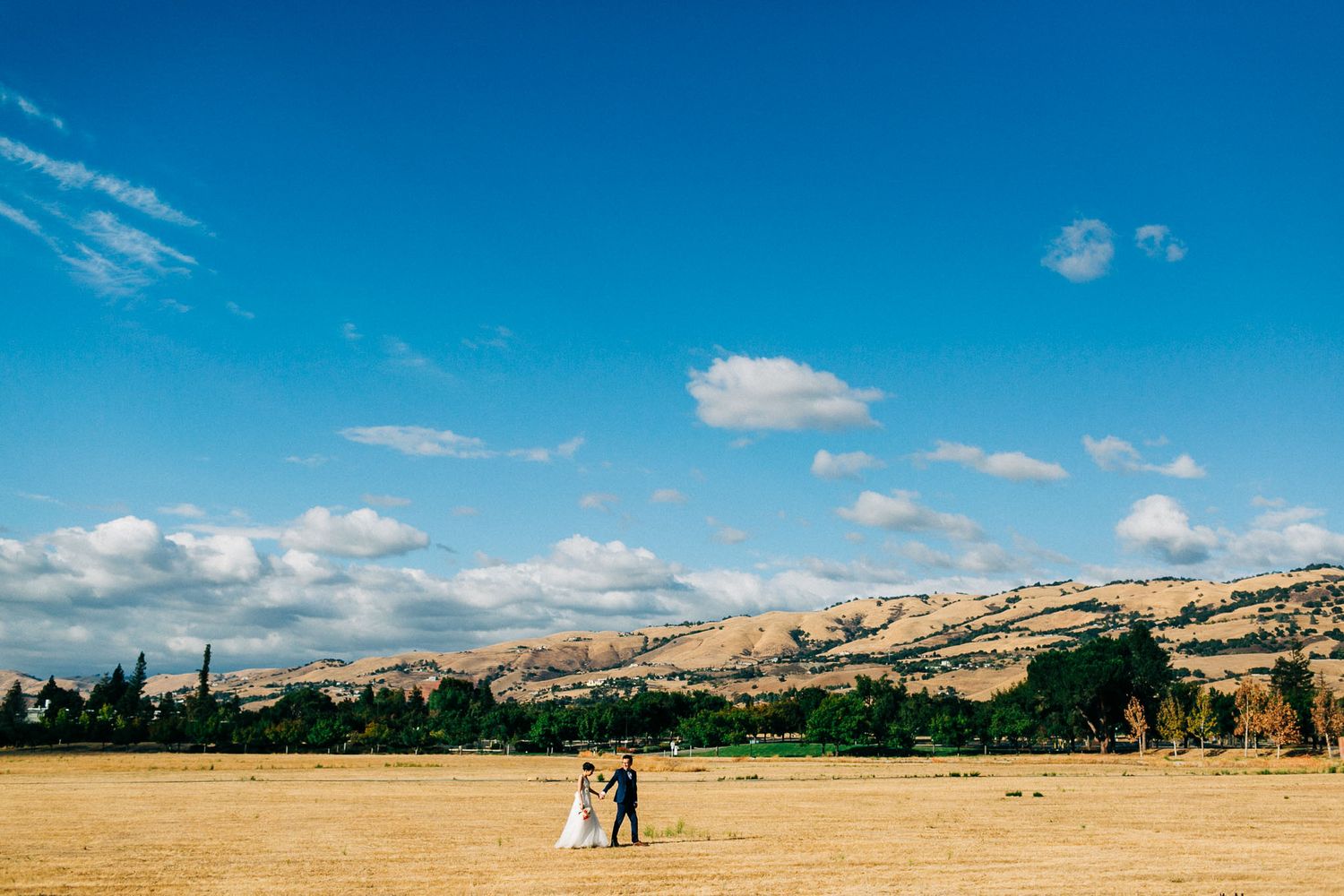 A panoramic view of rolling hills and grasslands under a bright blue sky with scattered white clouds.