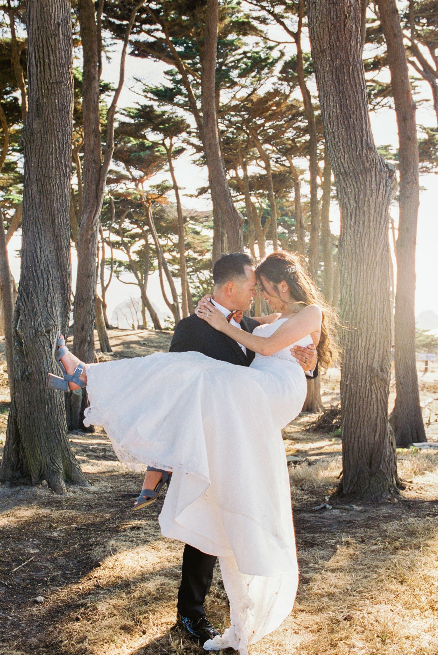 Sunlit wedding photos among tall pine trees with dramatic lighting and shadows.