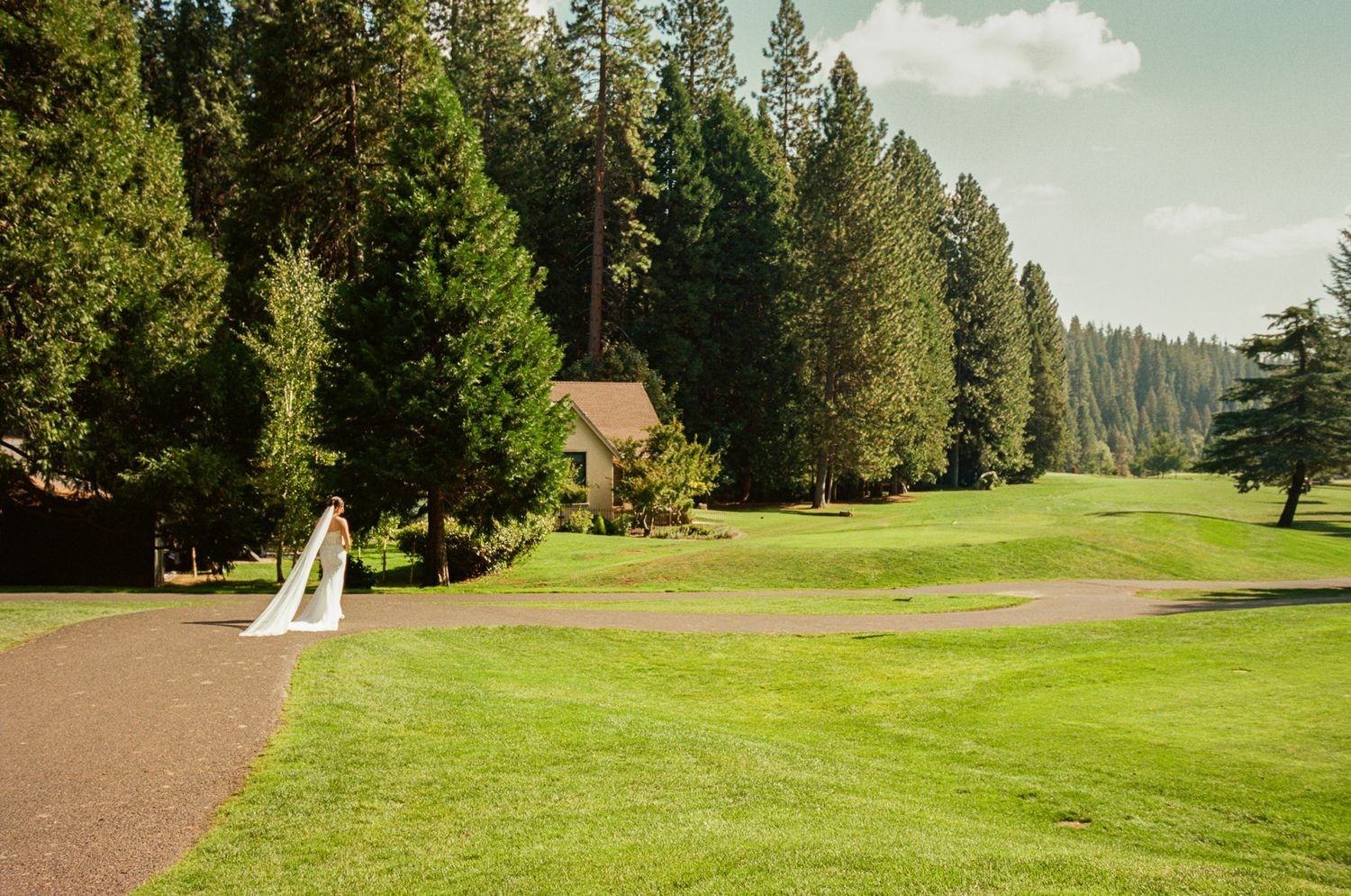 Sweeping view of a golf course surrounded by tall pine trees under a cloudy sky.