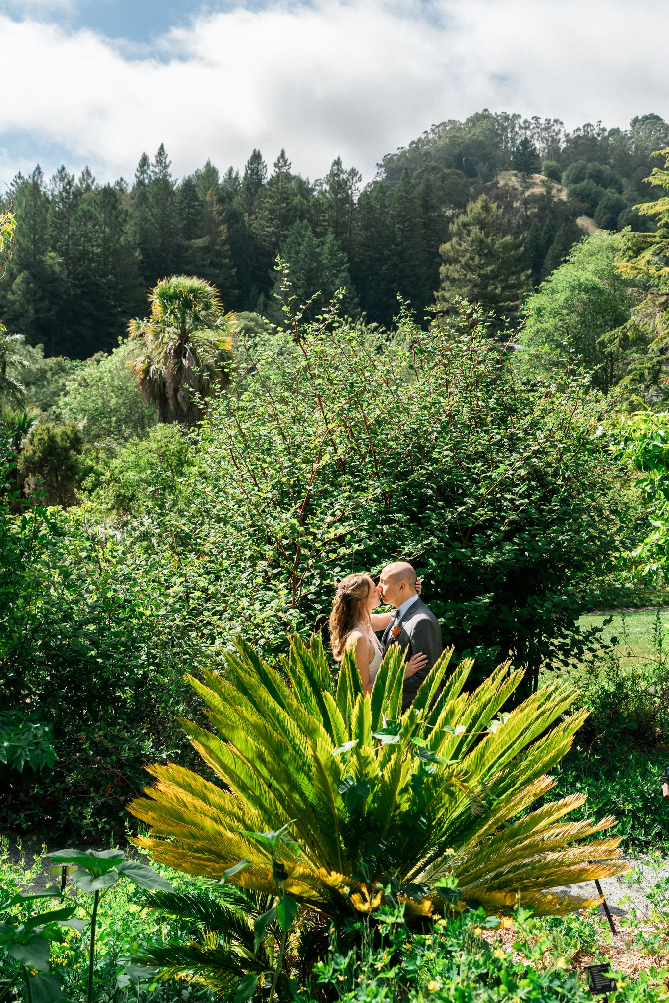 Couple embracing among lush tropical garden greenery with towering trees and hillside backdrop.