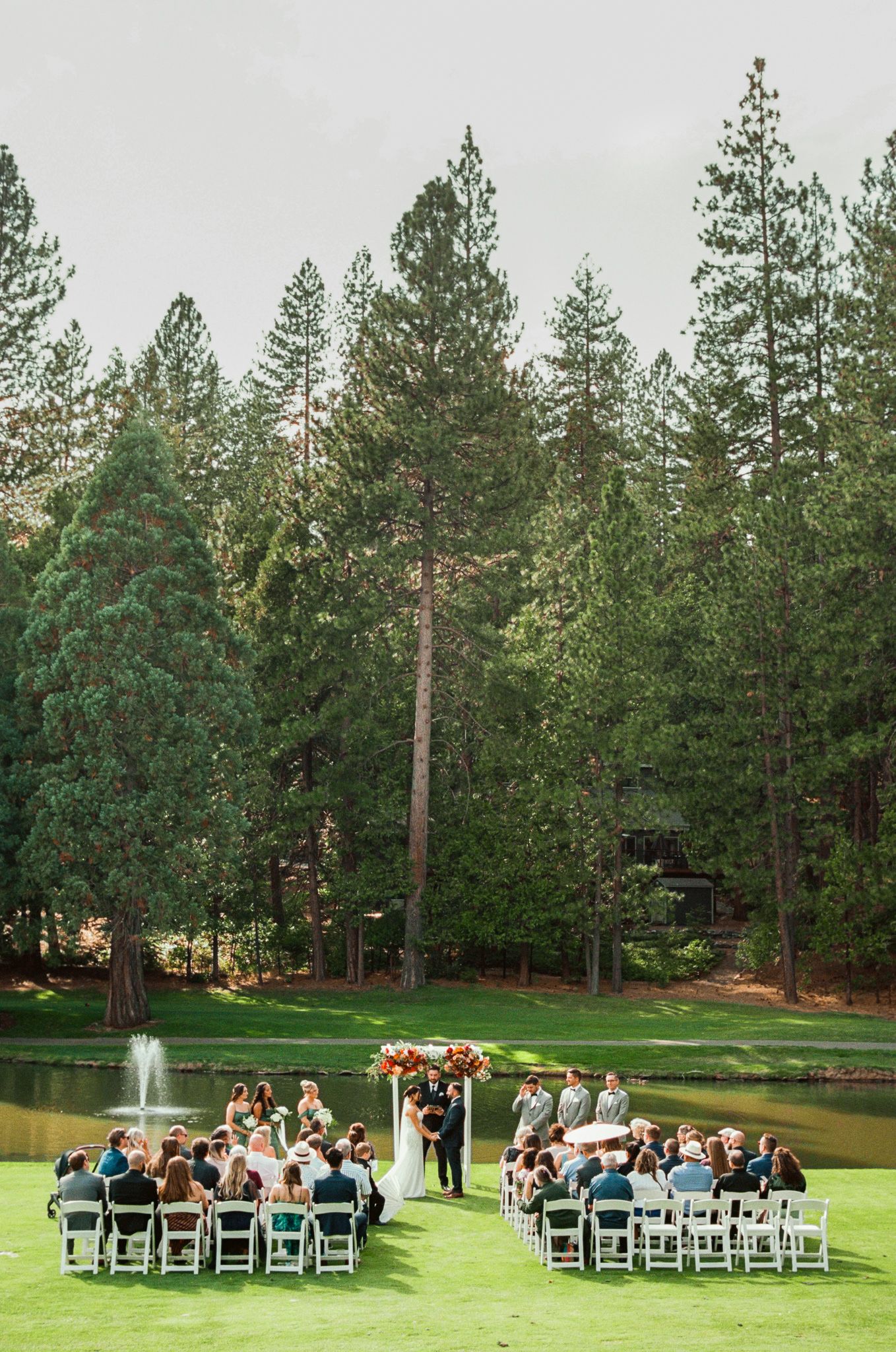 Outdoor wedding ceremony setup with white chairs surrounded by tall pine trees.