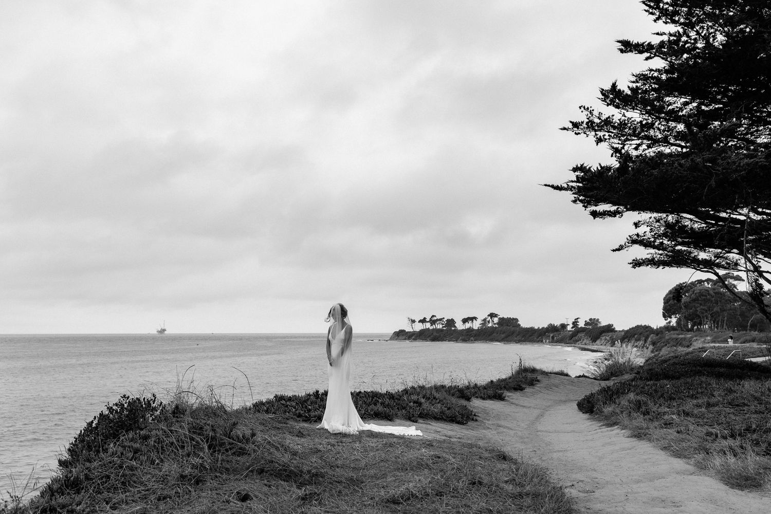 A scenic coastal path leads to the ocean with cypress trees and cloudy skies.