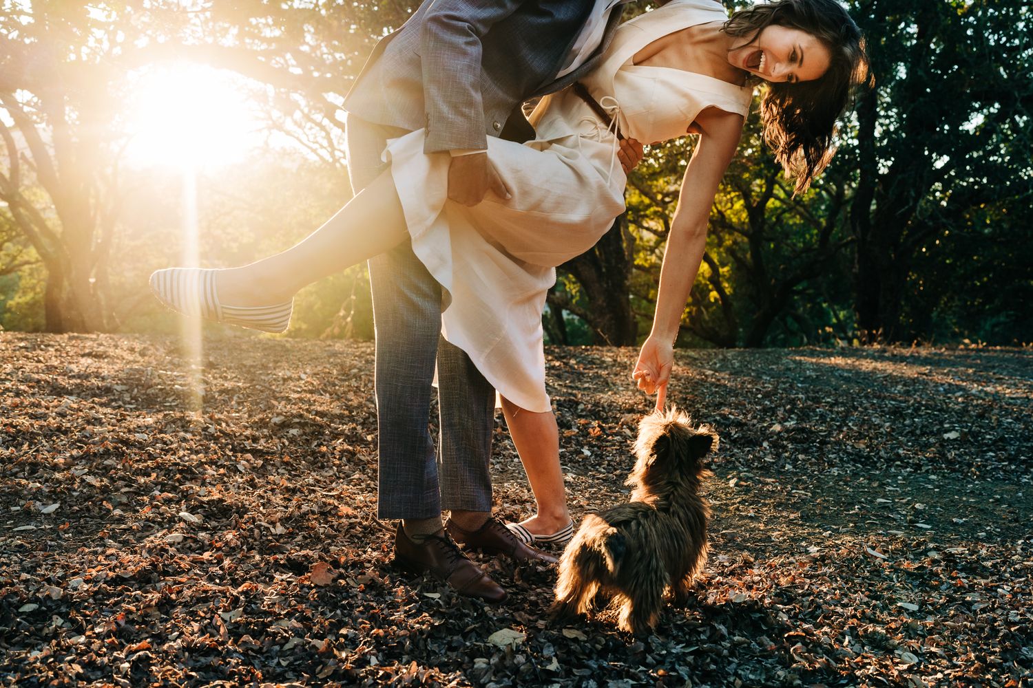 Playful moments captured in golden sunlight through trees.