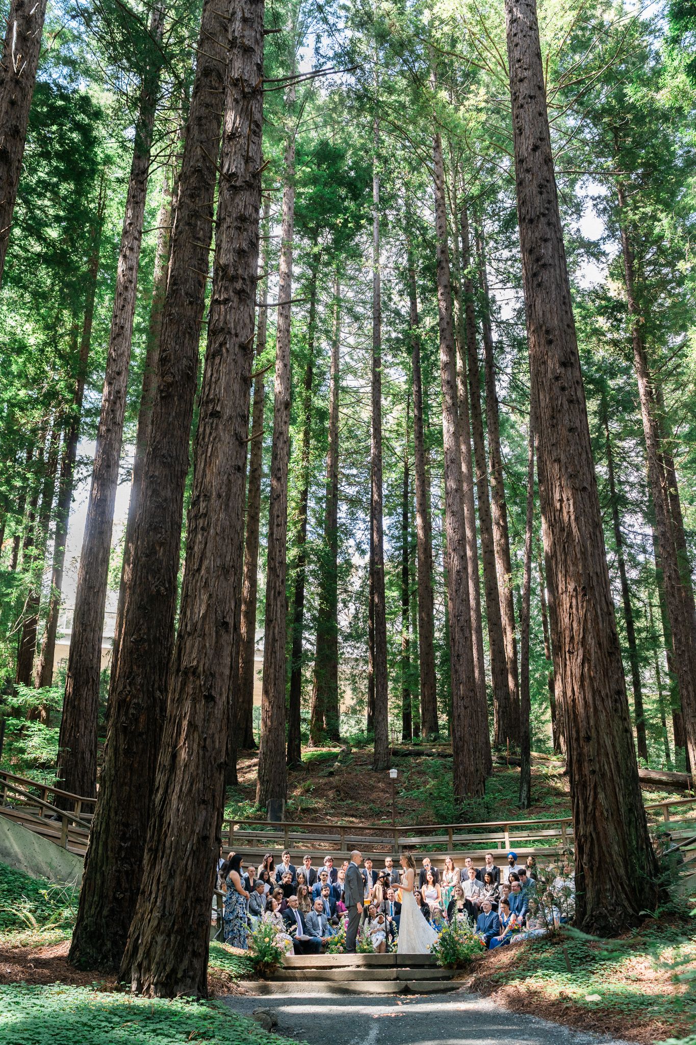 Wedding ceremony in a redwood forest with guests gathered around the couple beneath towering trees.