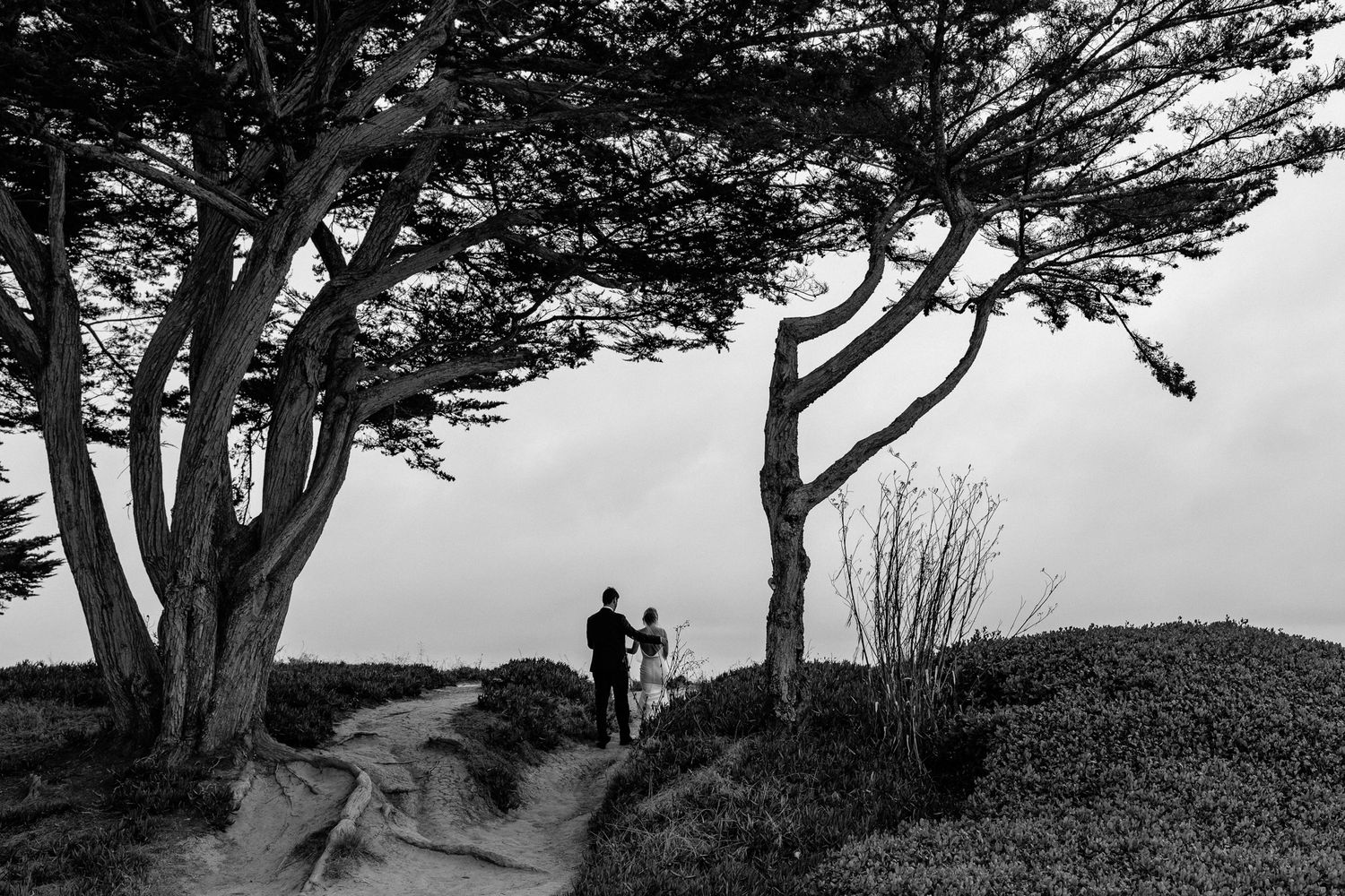 Silhouetted cypress trees frame a dramatic coastal wedding scene.
