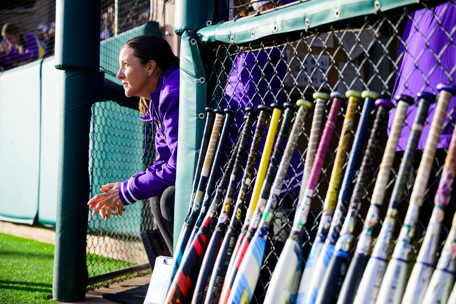 Row of softball bats lined up in dugout rack with purple and yellow team colors.