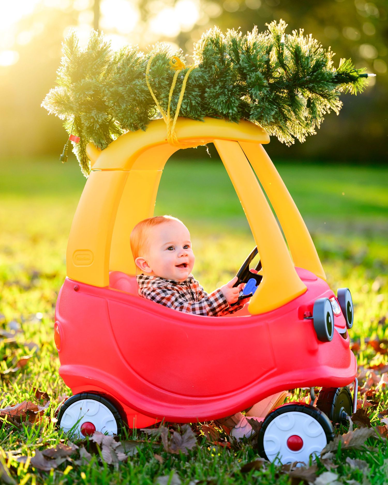 Happy baby sitting in red and yellow toy car with Christmas tree tied to roof.