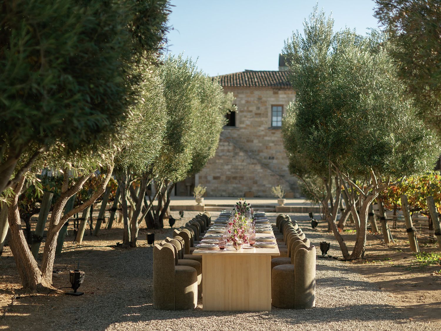 Elegant outdoor dining table set among ancient olive trees with a stone villa backdrop in a Mediterranean garden.