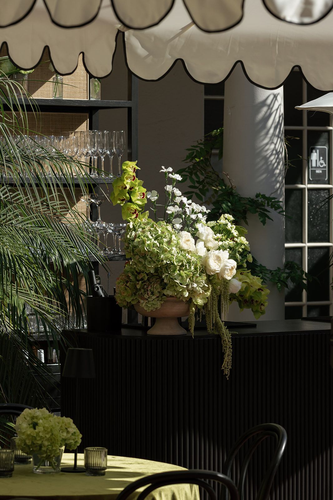 Shadow cast on a light colored wall from window and plants creates an artistic pattern and contrasting light effect.
