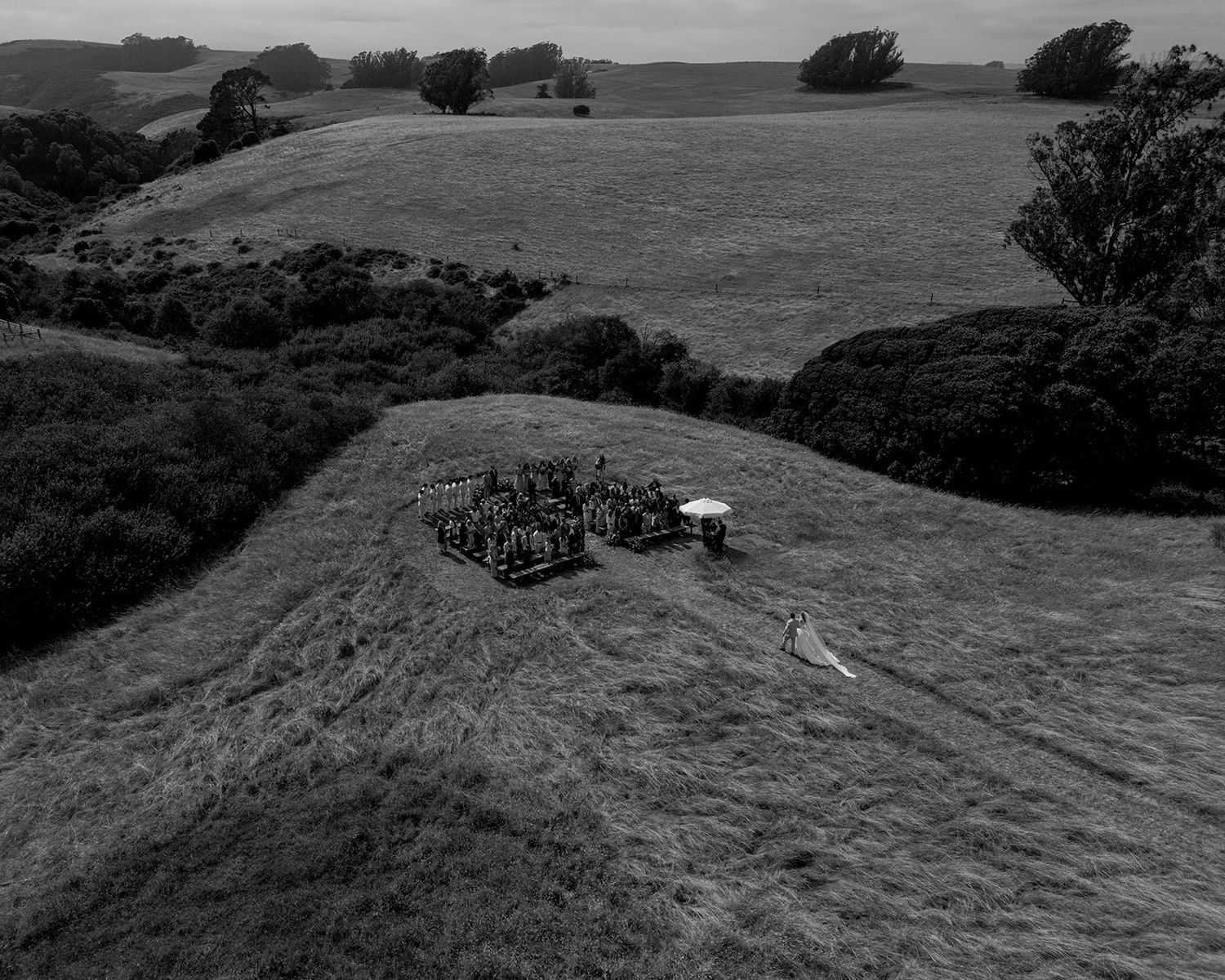 Aerial black and white photo of a small gathering with a white tent on a vast green hillside landscape.