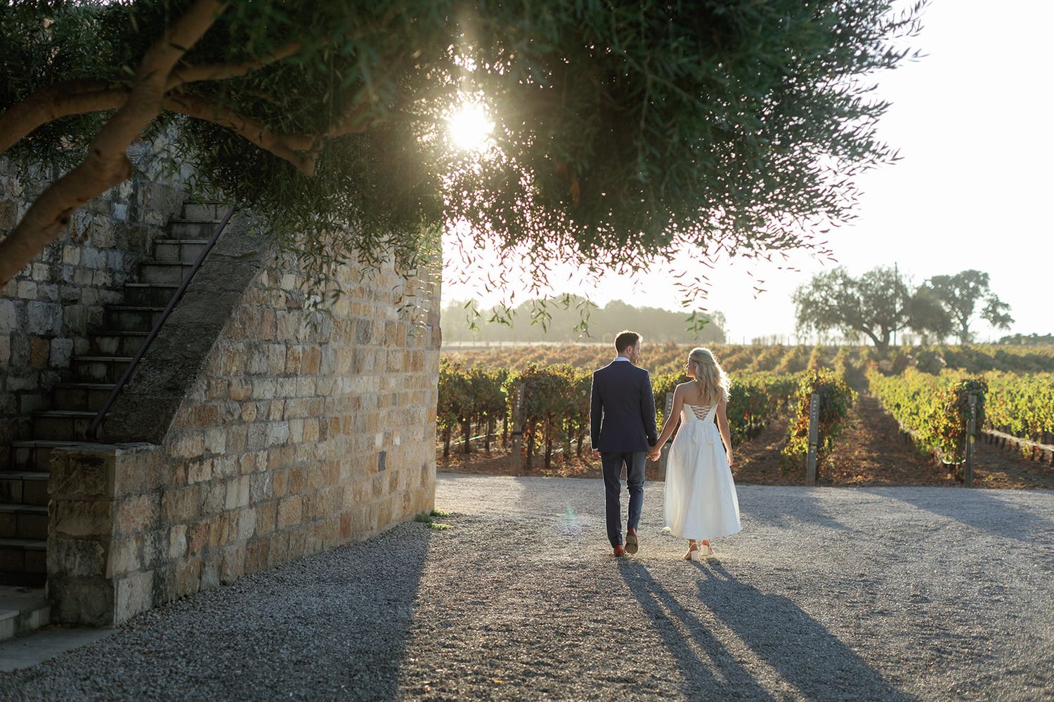 Bride and groom walking hand in hand through a sunlit vineyard at golden hour near a stone wall.