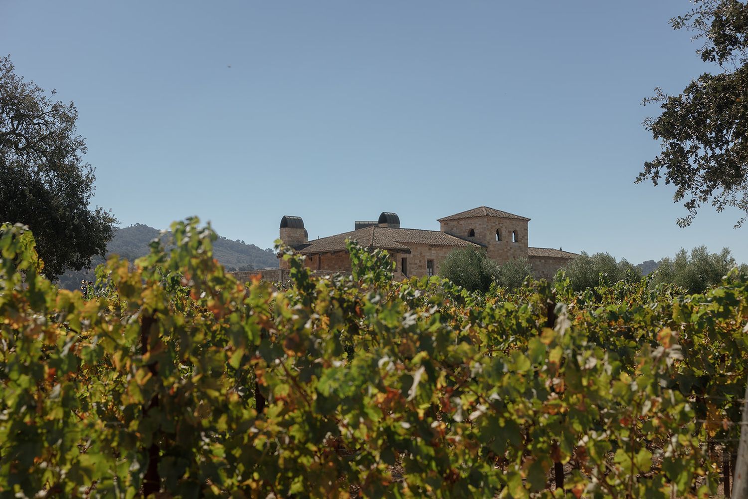Vineyard with lush green grapevines surrounding a rustic stone winery building with mountain views under a clear blue sky.
