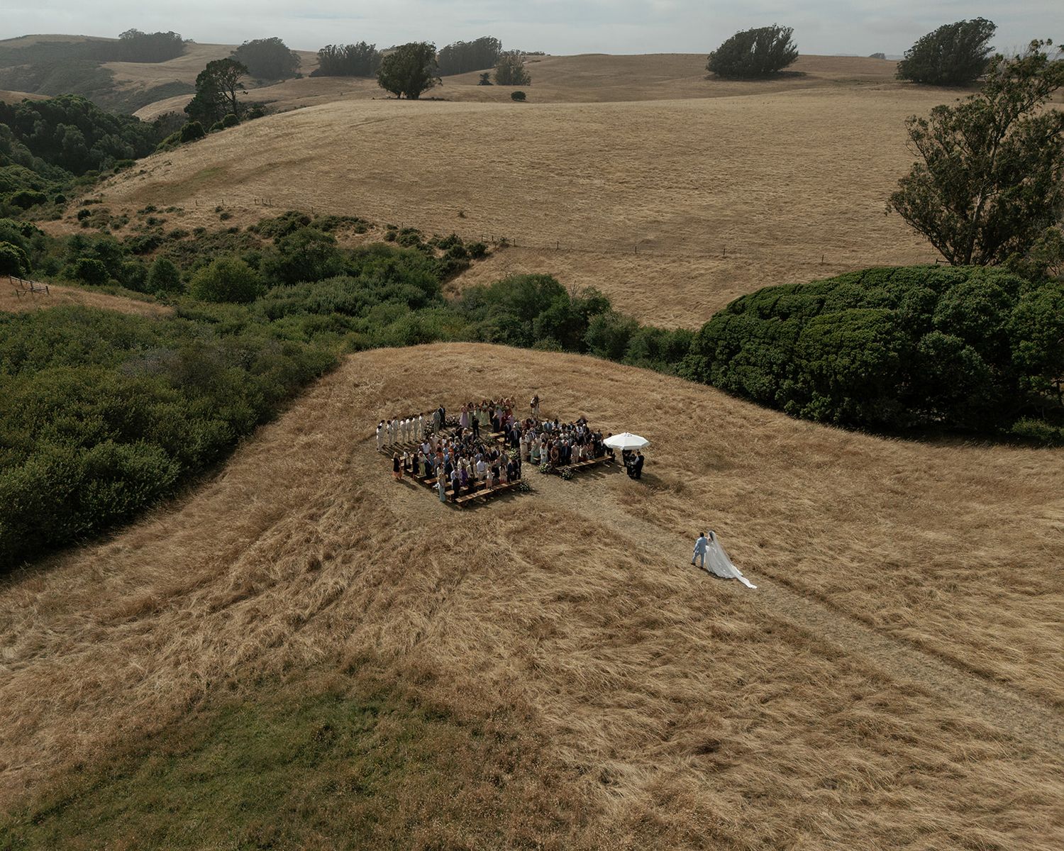 Aerial view of an outdoor wedding ceremony in a golden hillside meadow surrounded by green trees.