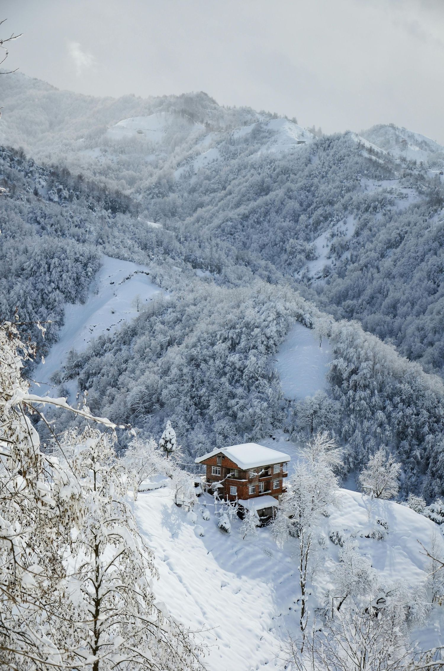 Rustic mountain chalet nestled in snow-covered alpine forest landscape.