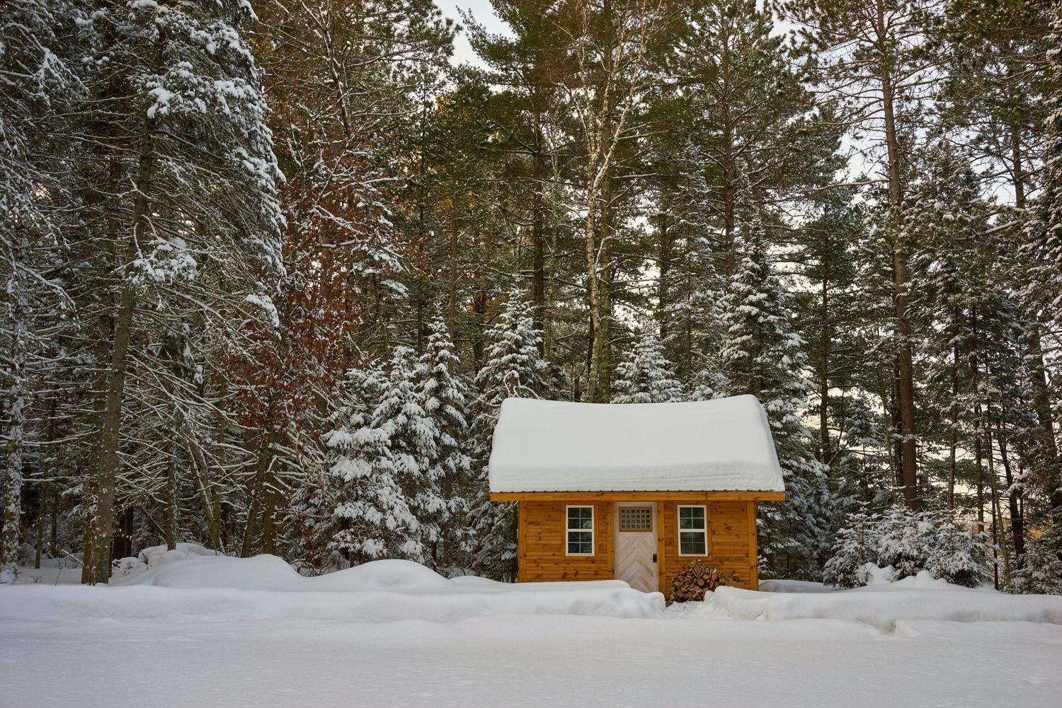 A cozy wooden cabin with snow-covered roof stands in a wintry forest surrounded by snow-laden evergreen trees.