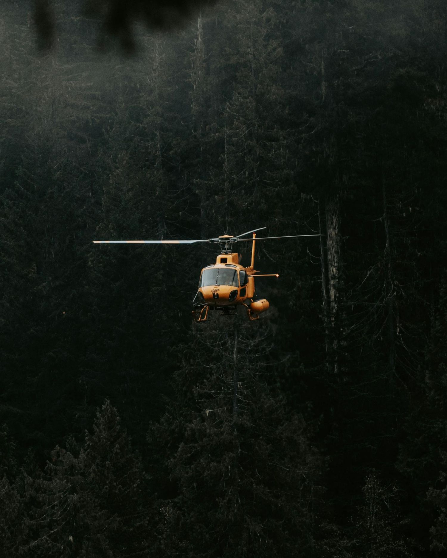 Orange helicopter flying in front of dark forest trees during a moody sunset scene.