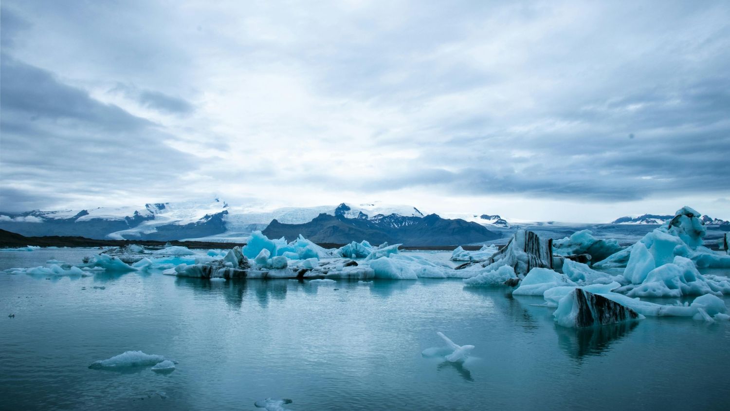 Blue icebergs floating in glacial lagoon under cloudy skies.