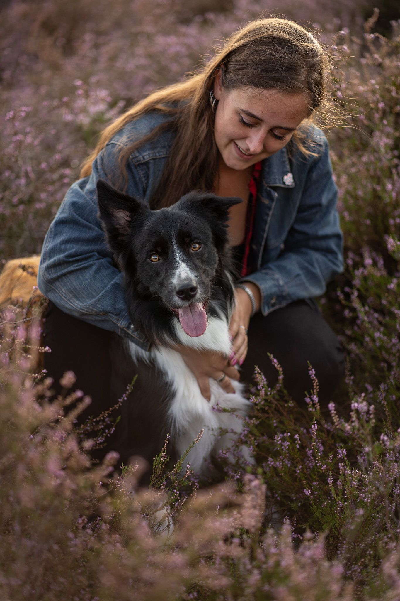 Bordercollie Zuko