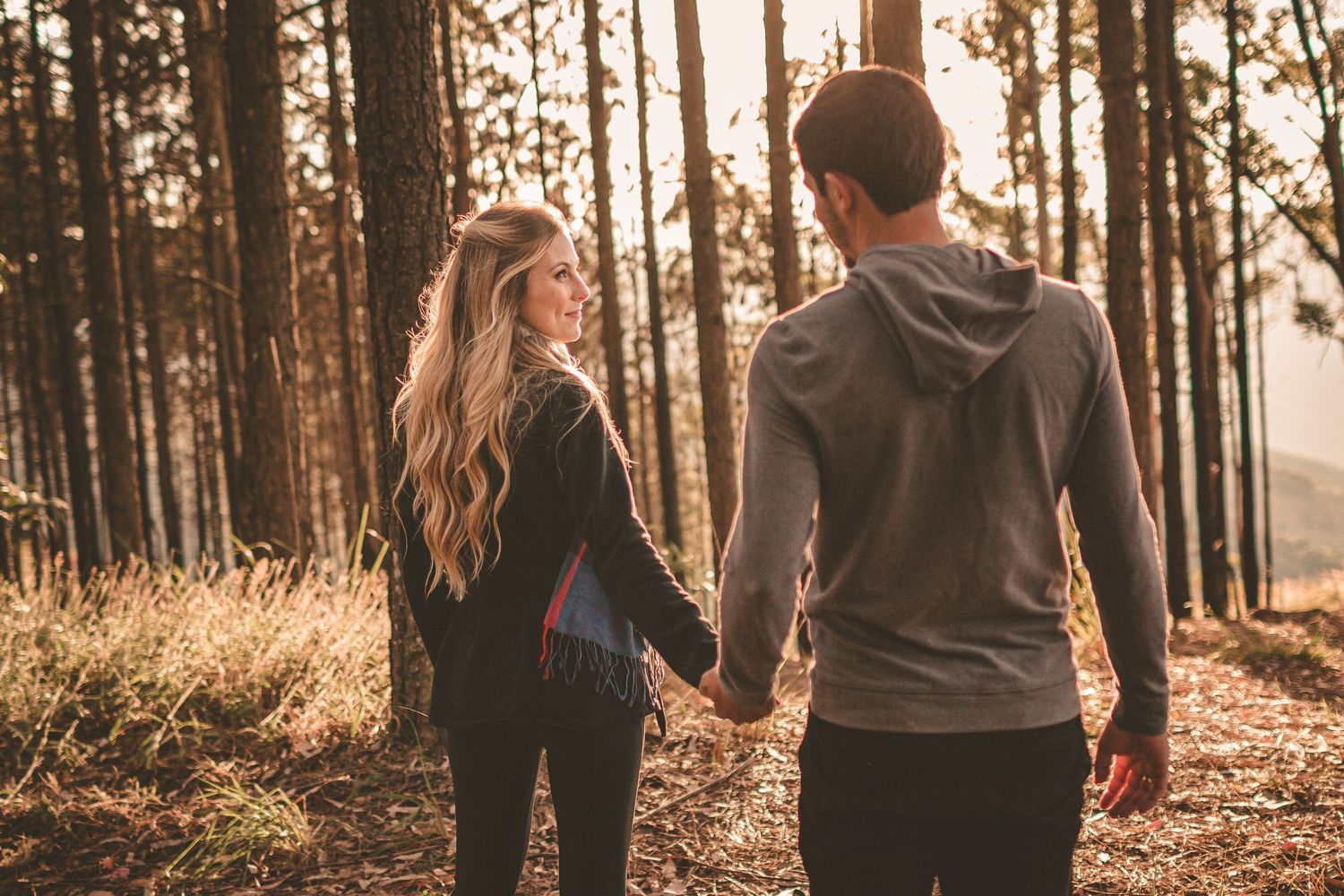 A couple holds hands while walking through a sunlit pine forest during golden hour.
