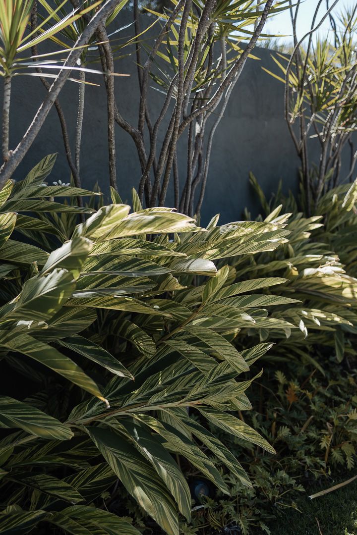 casamentos no liac, casamento em Belo Horizonte, decoracao no liac, casamento no lanai, fotografo em Belo Horizonte, fotografo casamento
