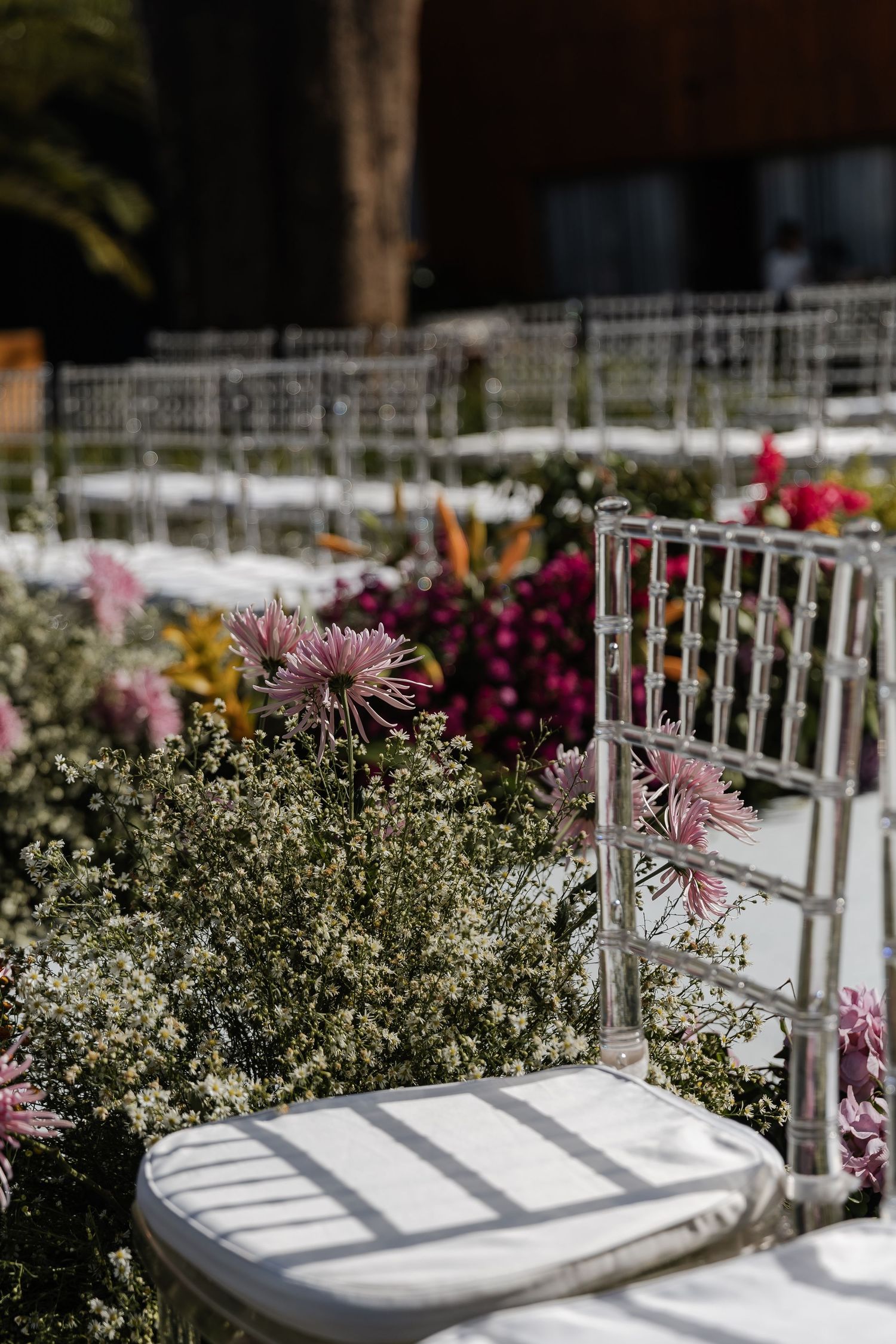 casamento em Belo White chiavari chairs arranged in rows with soft pink and white floral decorations along the aisle for an outdoor wedding.