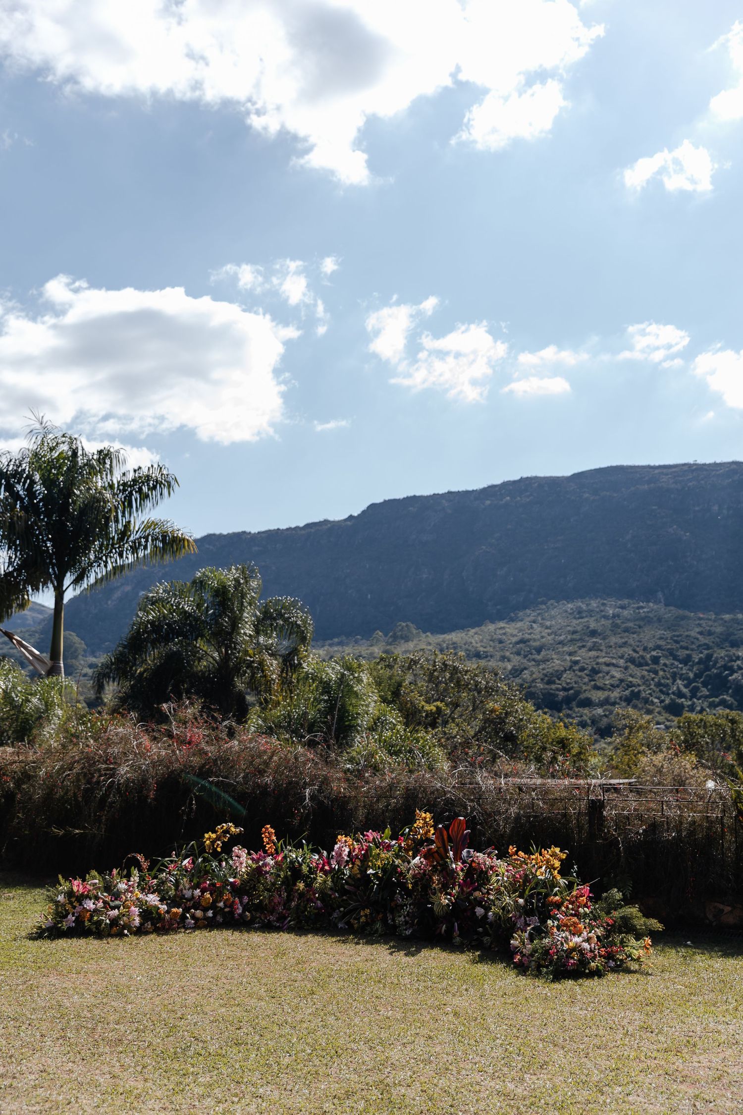 A panoramic view of a mountain landscape with palm trees and flowering bushes in the foreground under a partly cloudy sky.