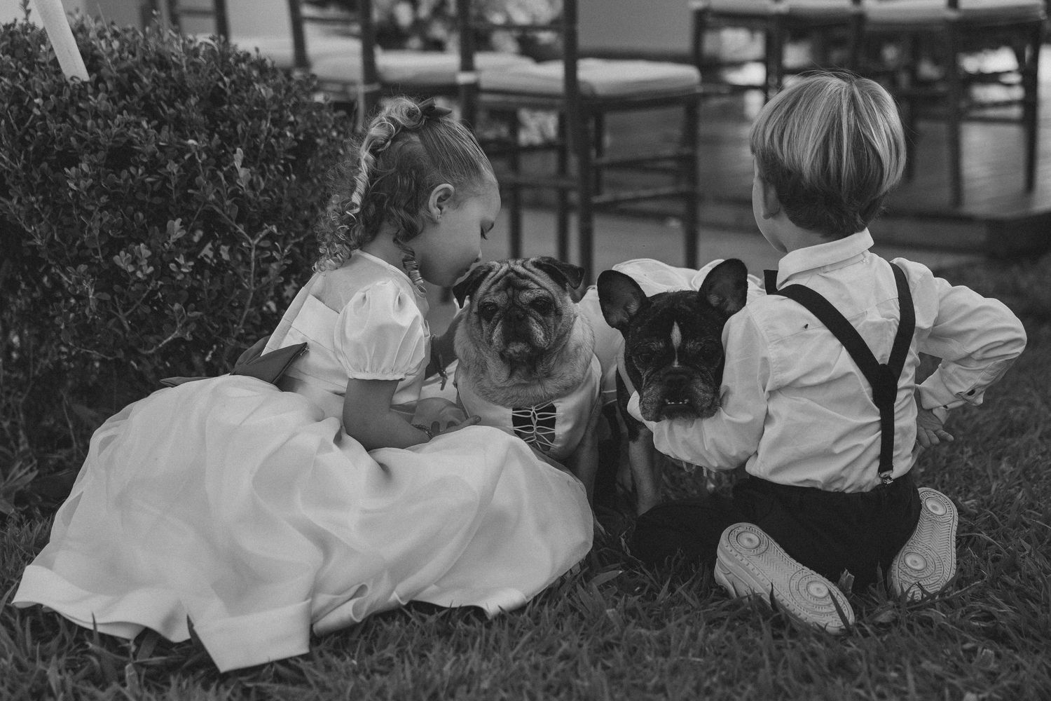 Black and white photo of children in formal attire sitting with a French Bulldog on grass beside bushes.