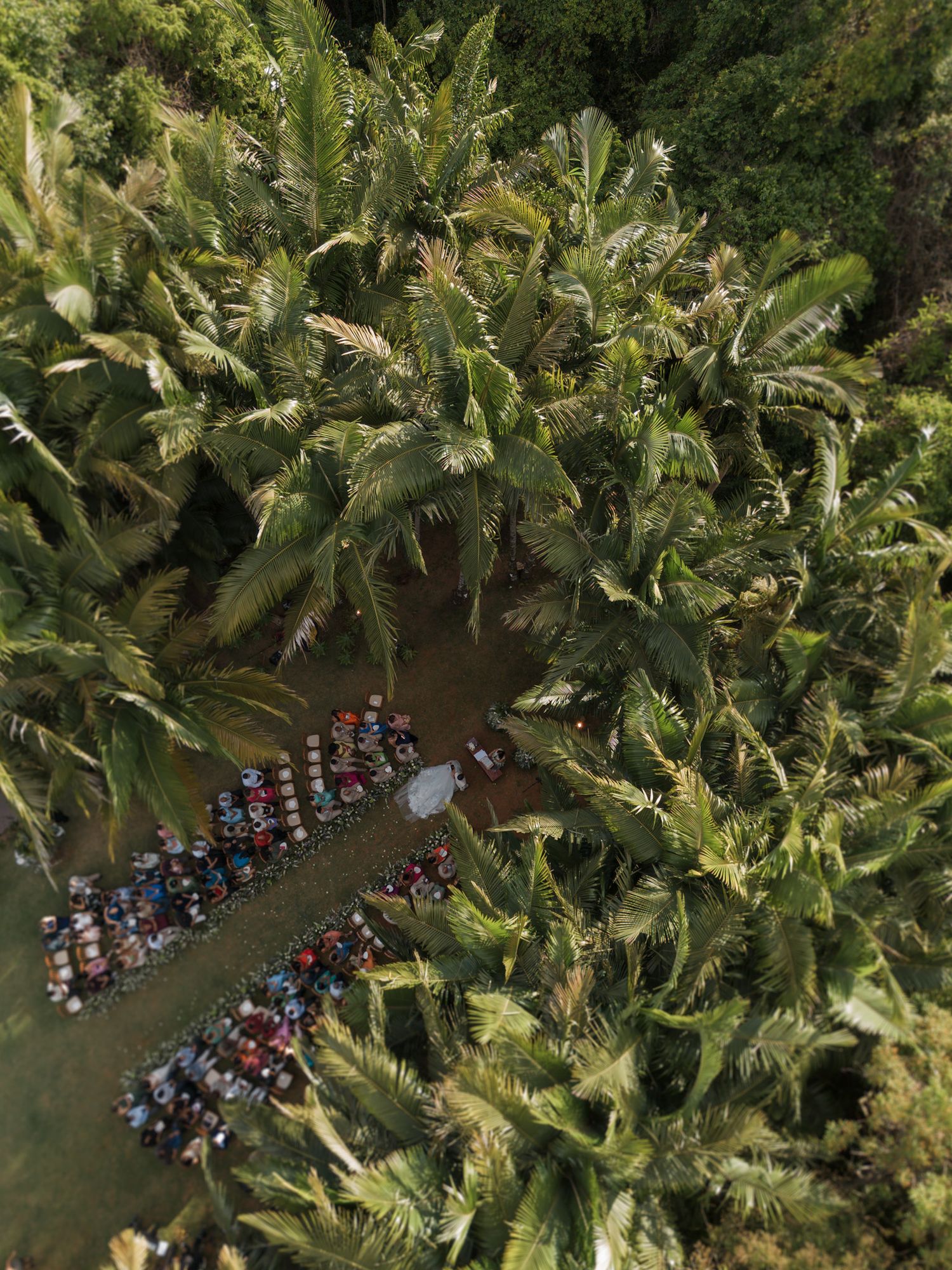 Aerial view of a group gathering among banana trees and lush tropical vegetation.