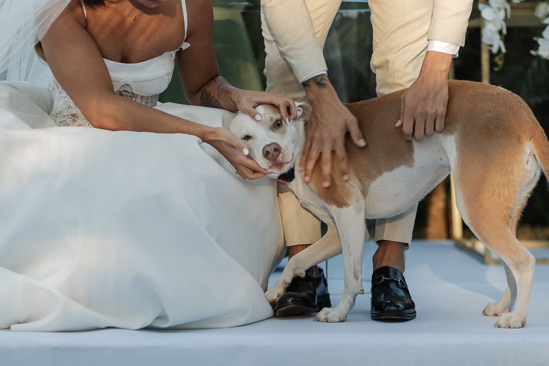 casamentos no liac, casamento em Belo Horizonte, decoracao no liac, casamento no lanai, fotografo em Belo Horizonte, fotografo casamento