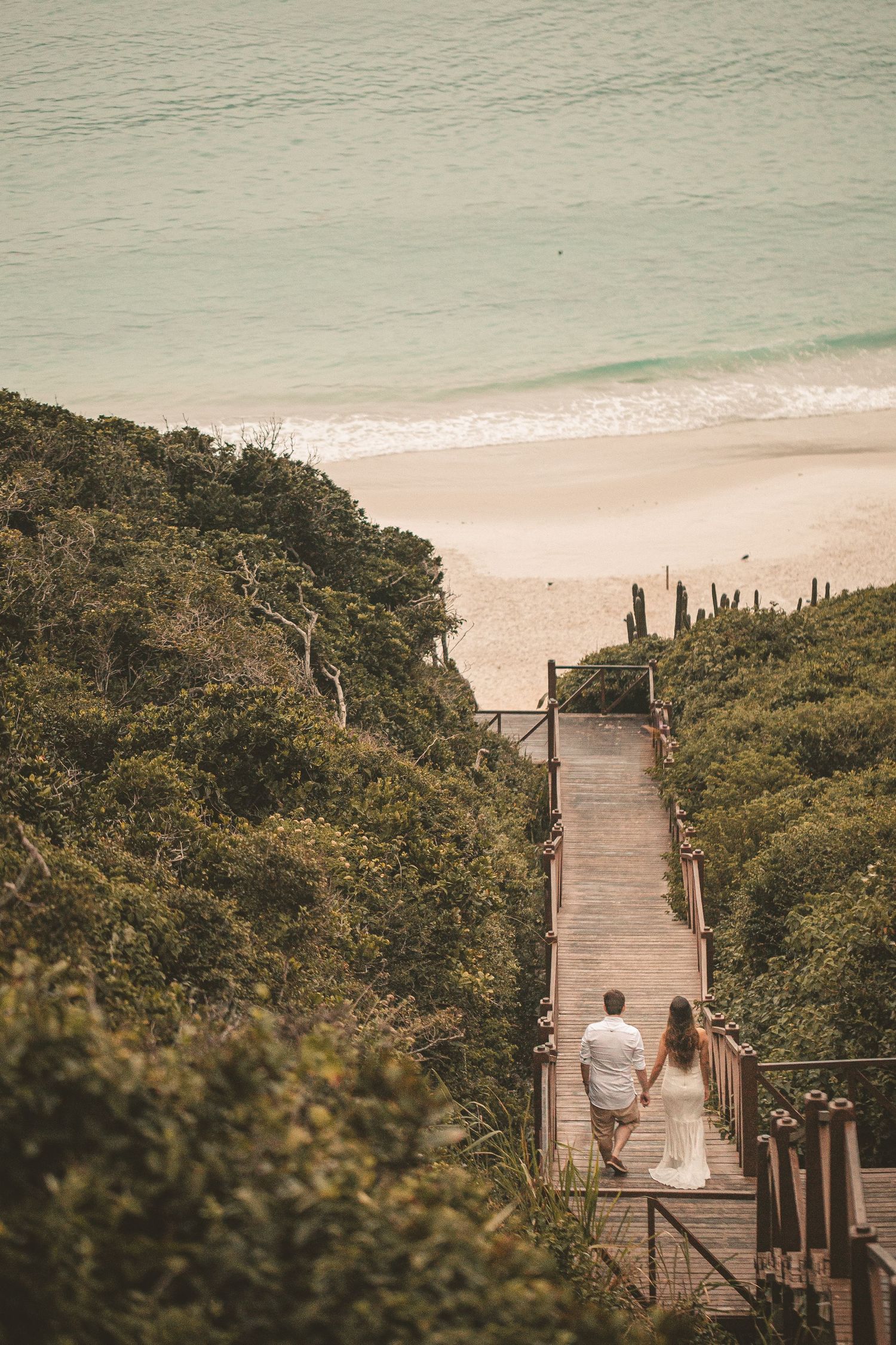 Wooden boardwalk staircase leading down to a sandy beach through lush coastal vegetation in muted tones.