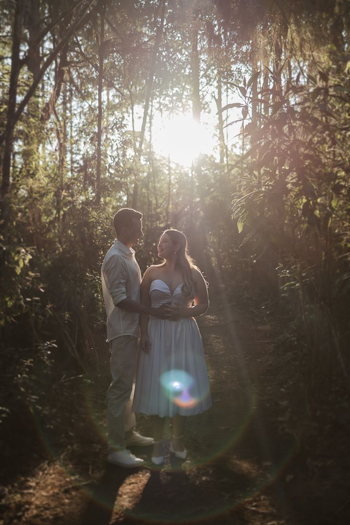 A romantic sunlit forest scene shows a couple in formal attire sharing an intimate moment among tall trees.