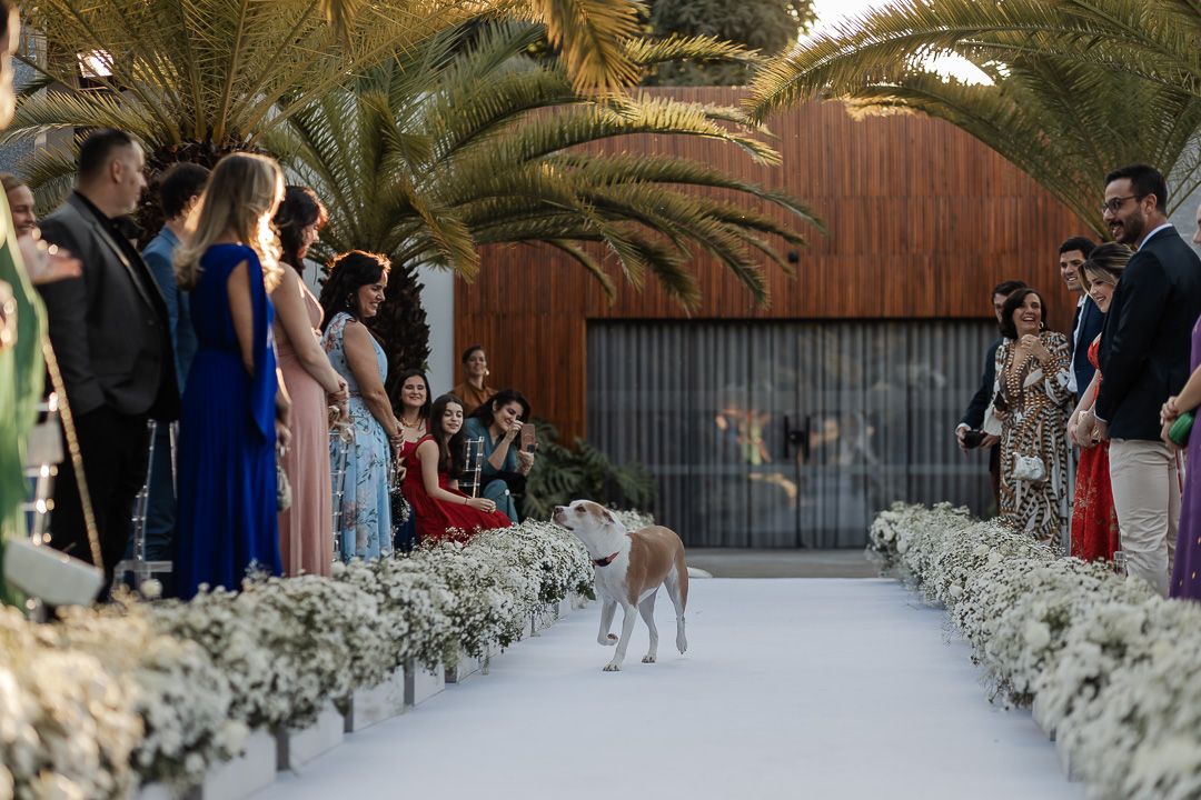 casamentos no liac, casamento em Belo Horizonte, decoracao no liac, casamento no lanai, fotografo em Belo Horizonte, fotografo casamento