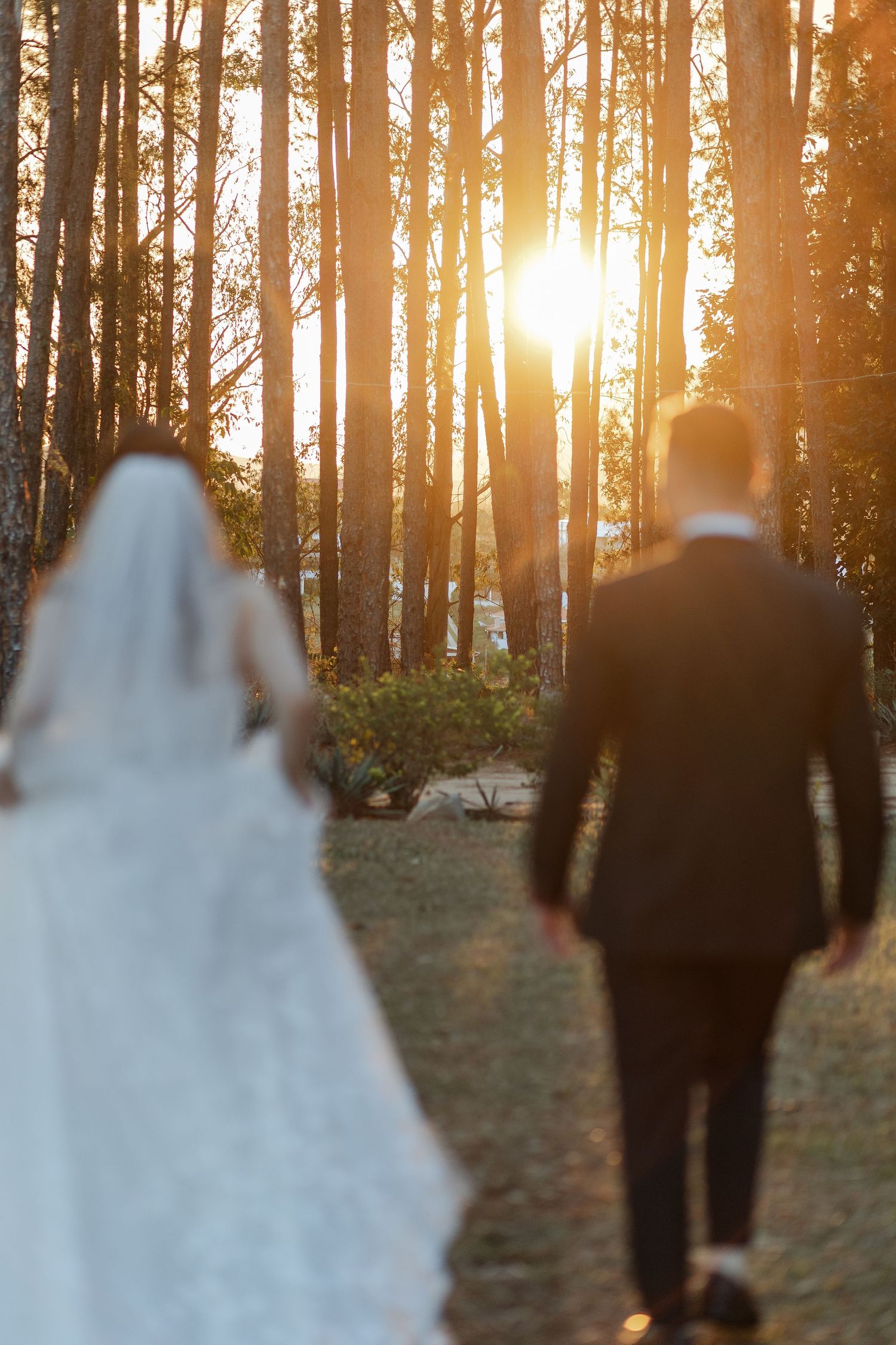 Newlywed couple walks through sunlit forest at golden hour with sun rays streaming through tall pine trees.