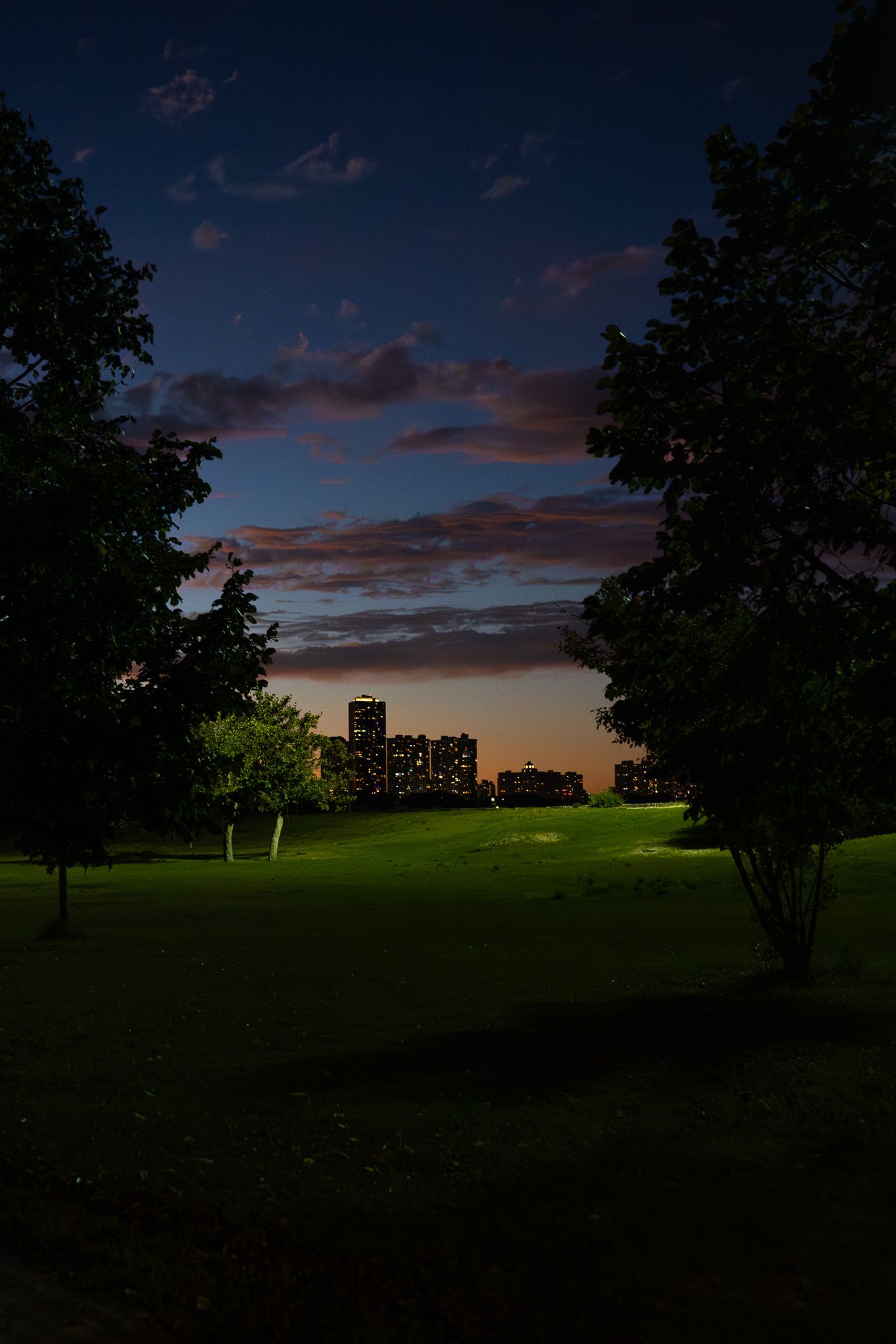 City buildings silhouetted at dusk through tree frames with colorful sunset sky.
