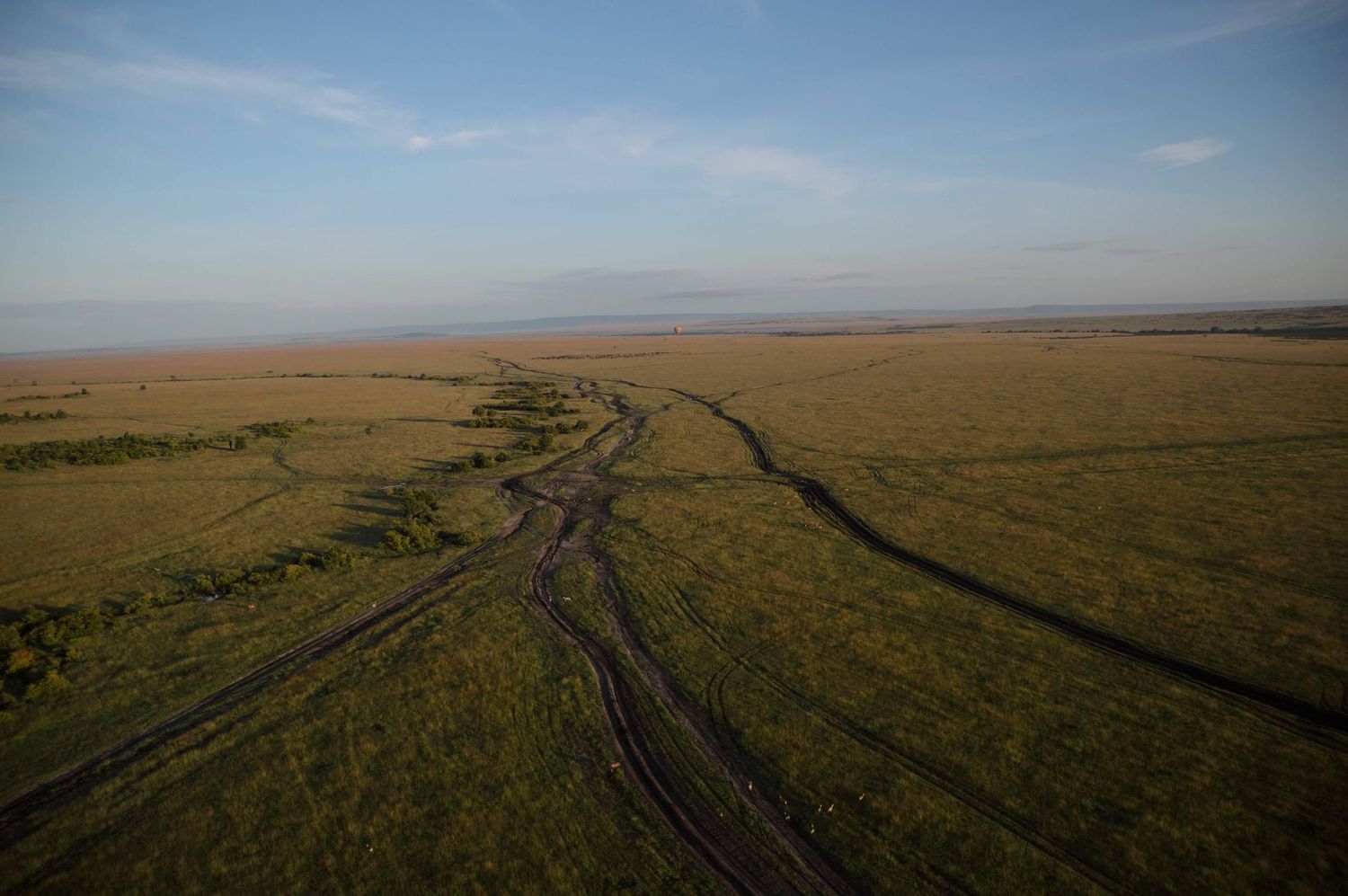 Aerial view of winding roads cutting through vast golden grasslands under a blue sky.