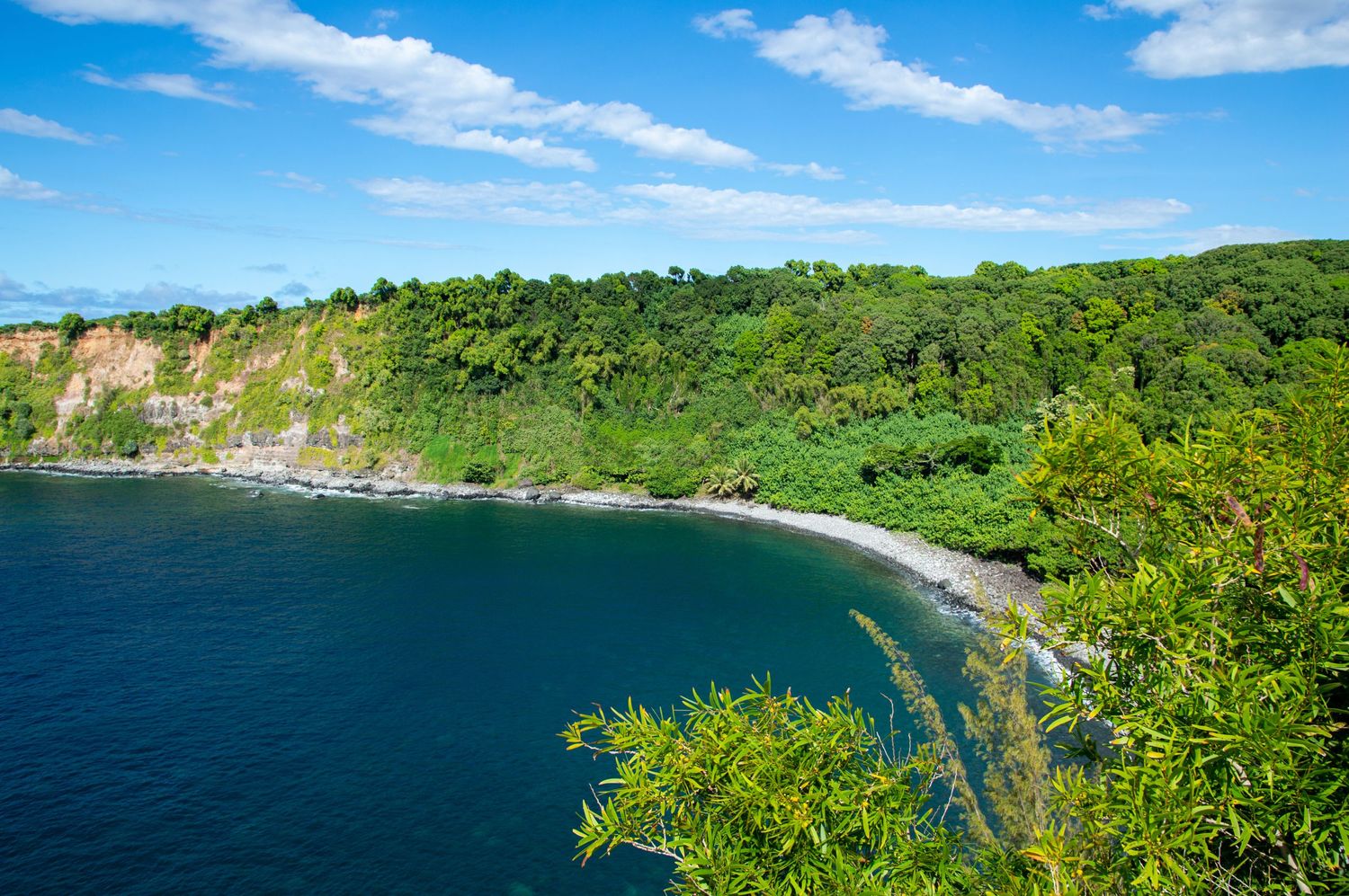 Curved coastline with green forested cliffs and crescent beach viewed from above.