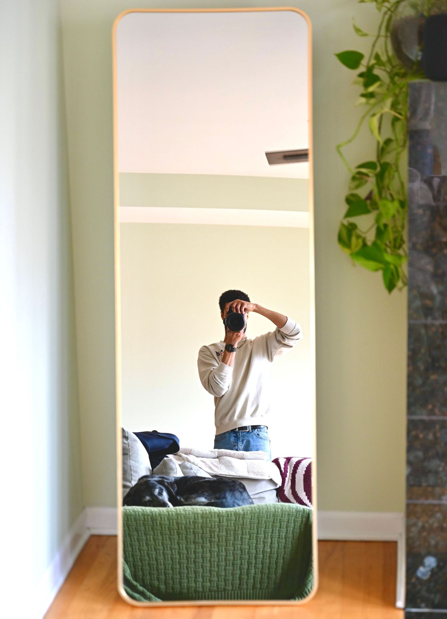 Mirror selfie showing person taking photo in room with green couch and trailing plants.