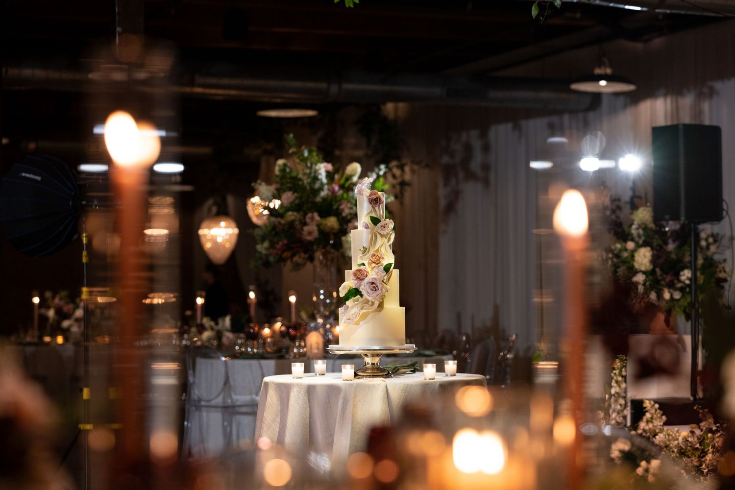 Warm pendant lights illuminate a dark restaurant interior with hanging plants and wooden accents creating cozy ambiance.
