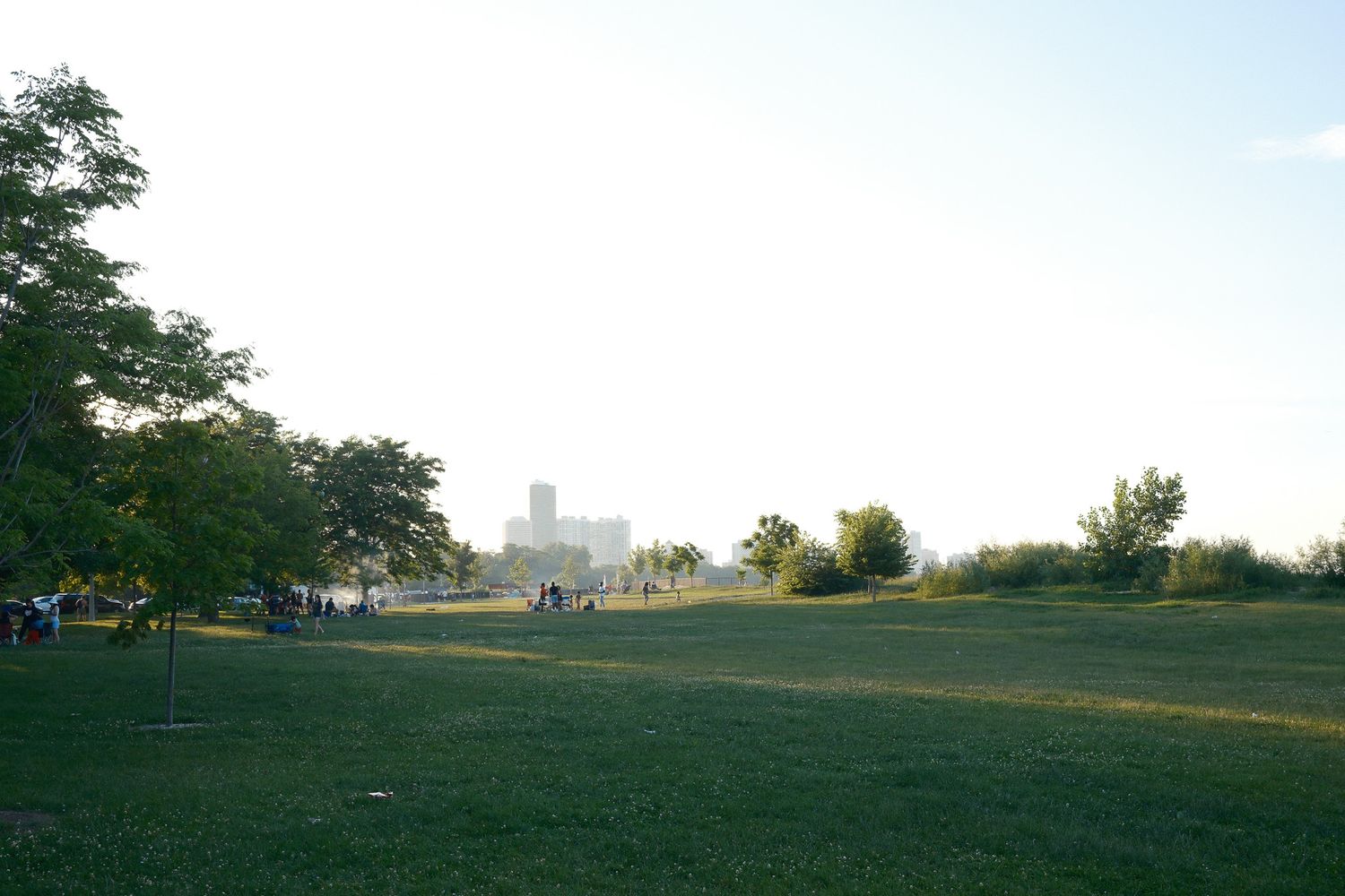 Expansive green park with city skyline visible in the distant background.