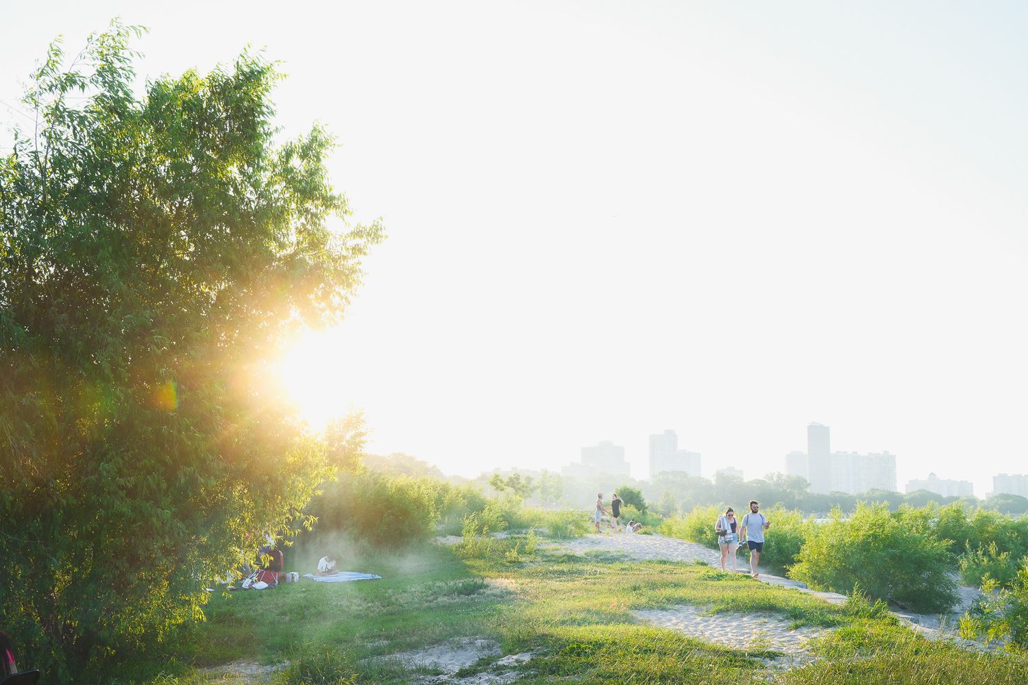 Sunlit urban landscape with golden light filtering through trees and distant city buildings.